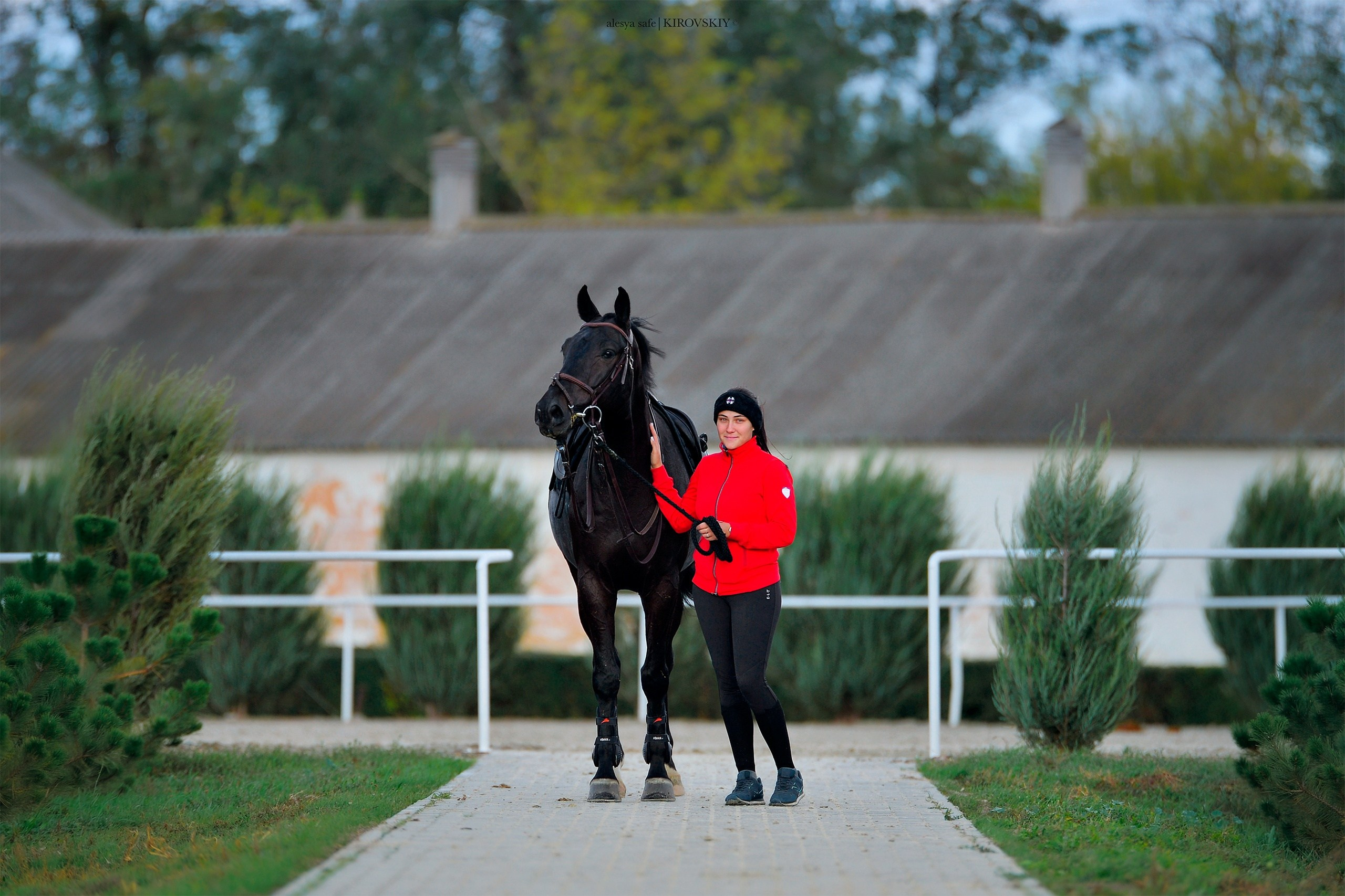 Кировский конный завод. Конный фотограф Alesya Safe