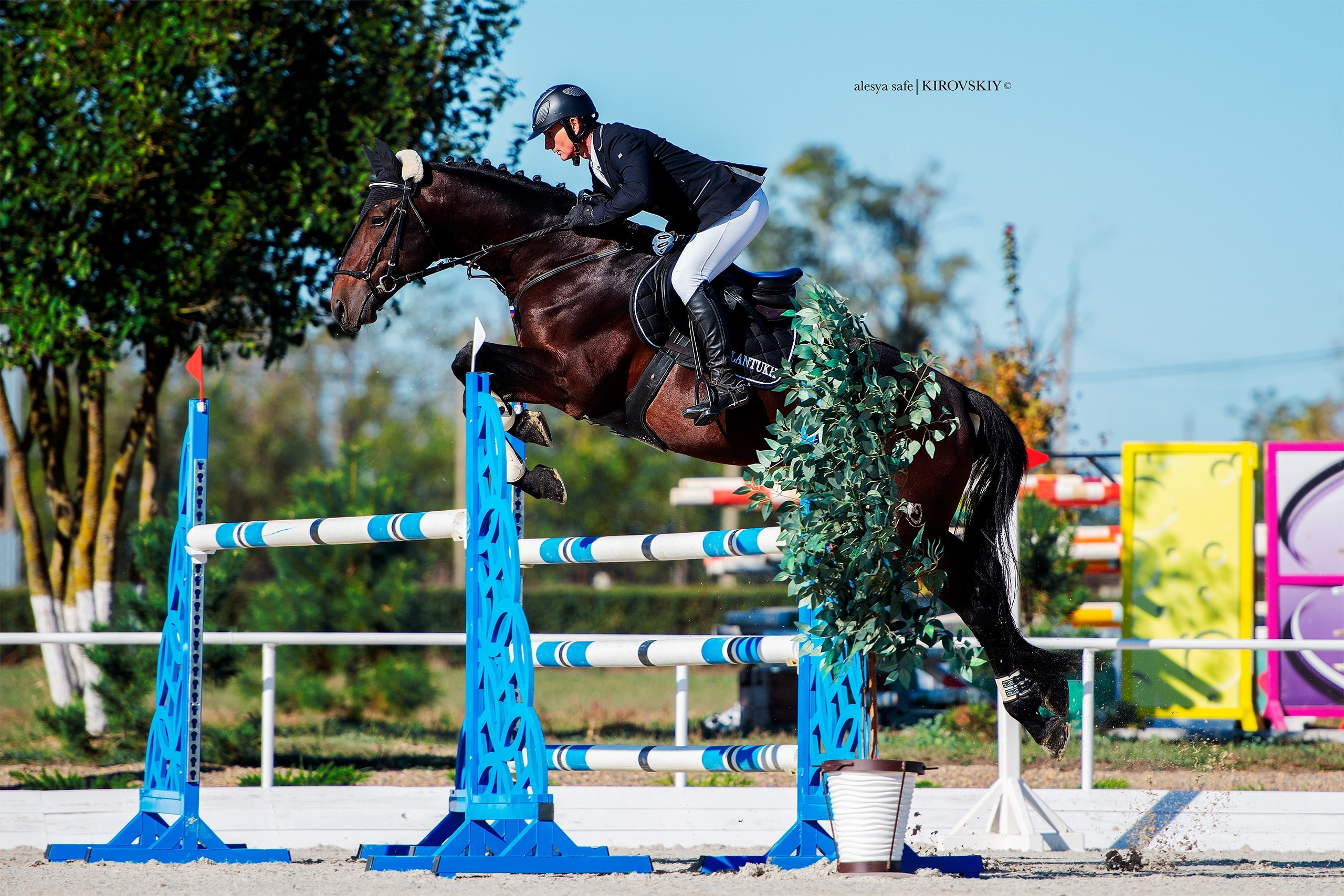 Кировский конный завод. Конный фотограф Alesya Safe