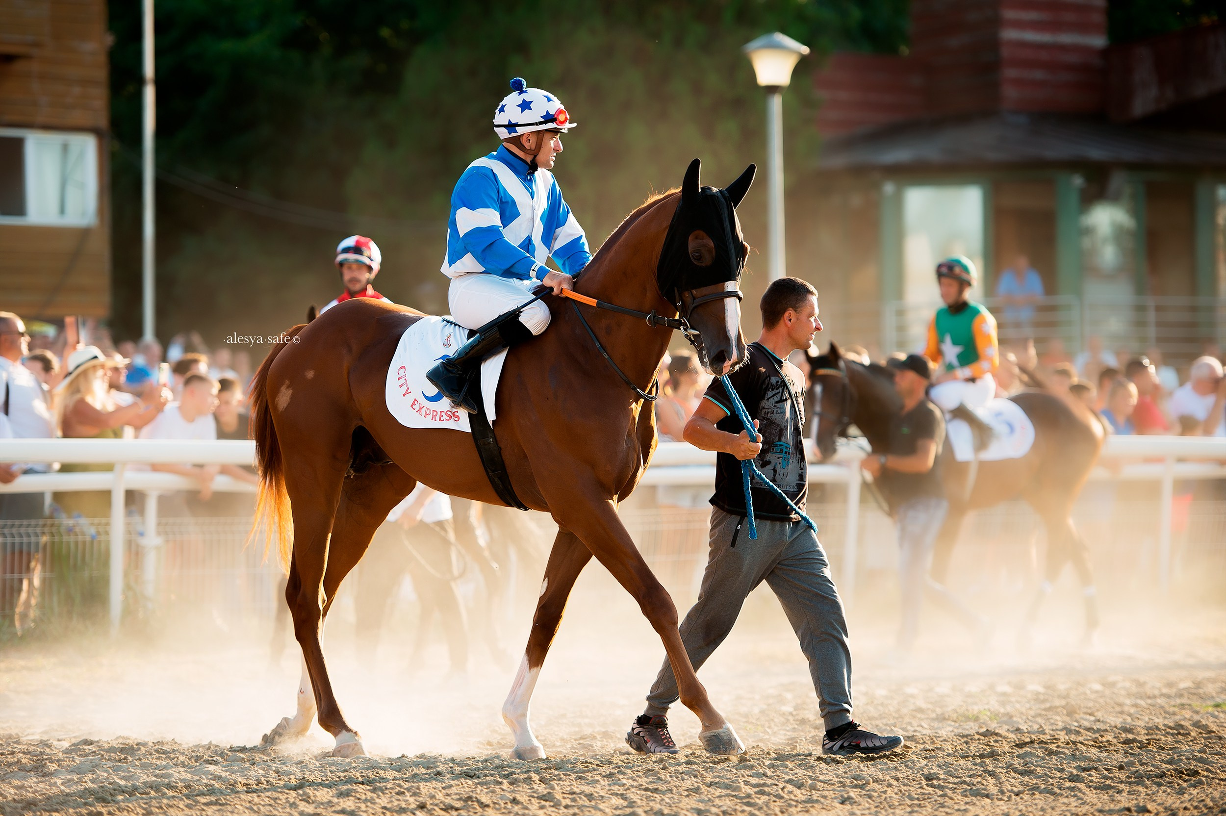 Скачки. Конный фотограф Alesya Safe