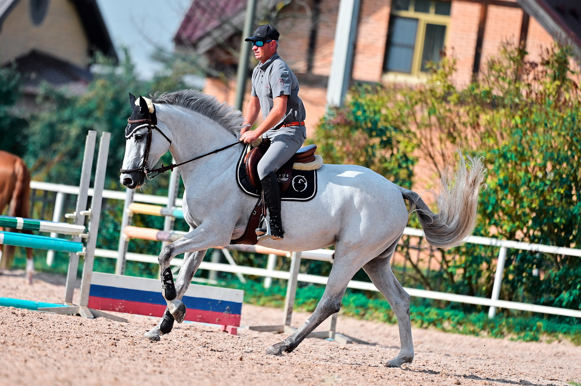 Тренировки. Конный фотограф Alesya Safe