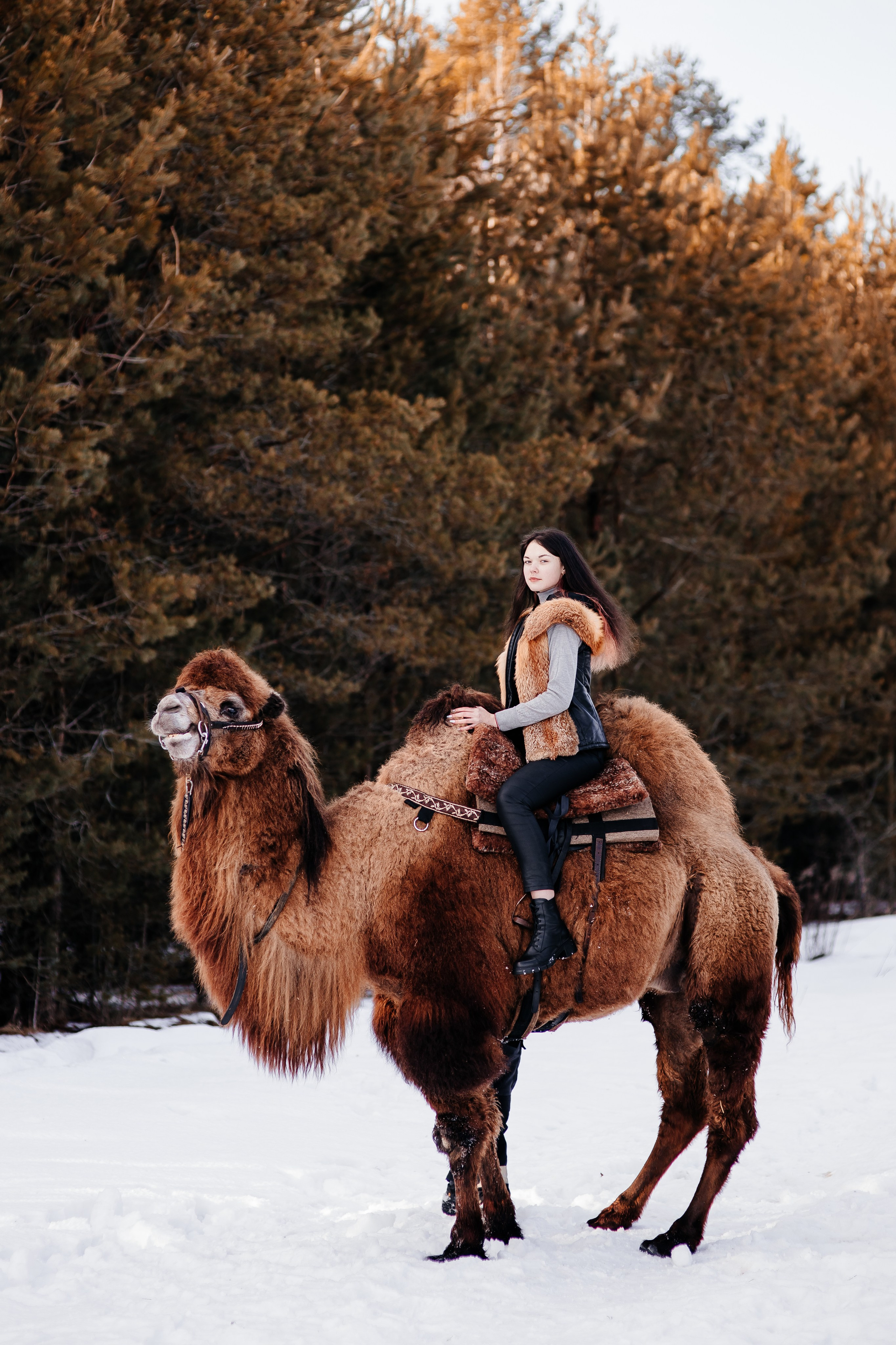 Леденящее приключение. Фотосессии Фотодни Псков СПб