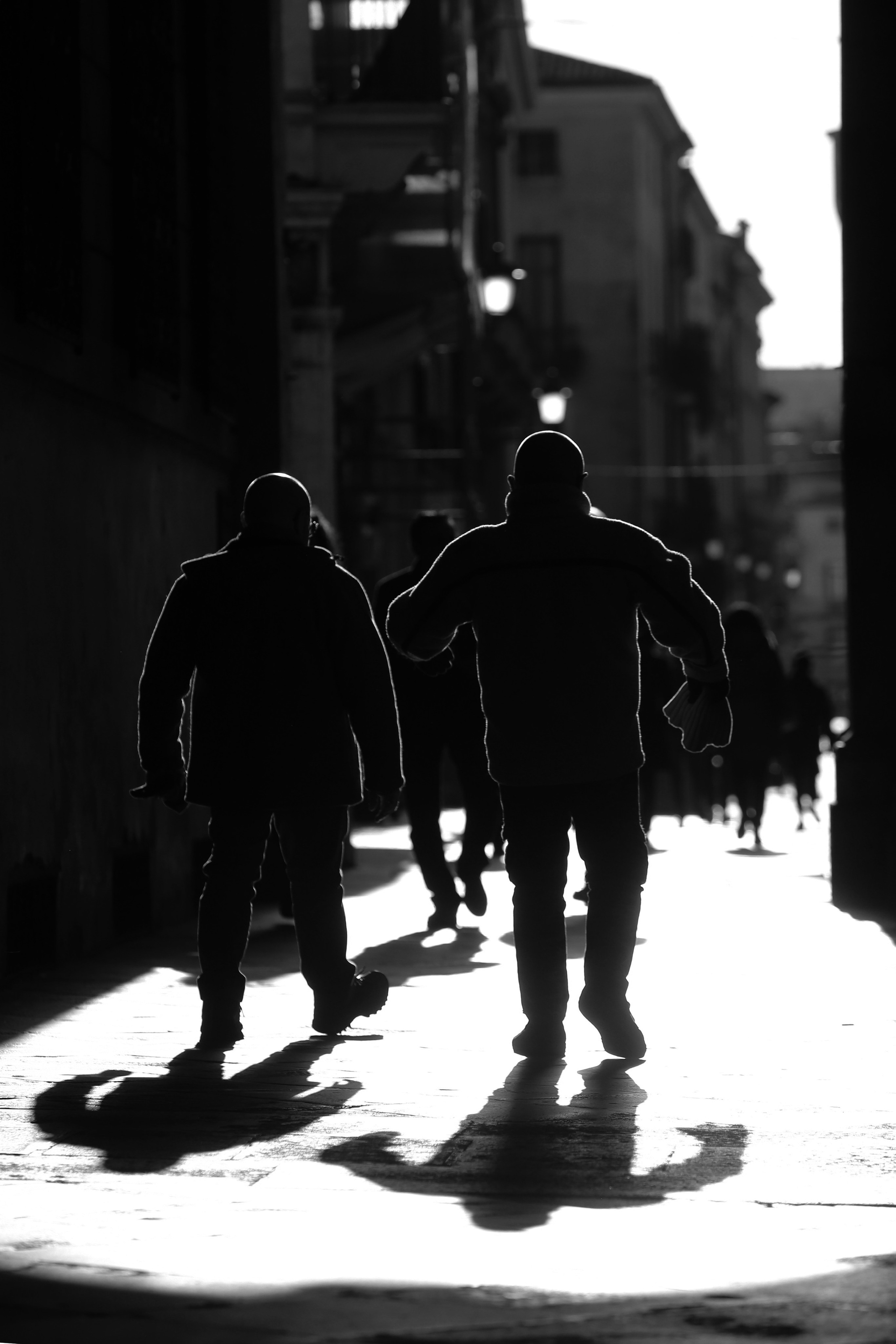 Жанр. Фотограф Лагутин Анатолий