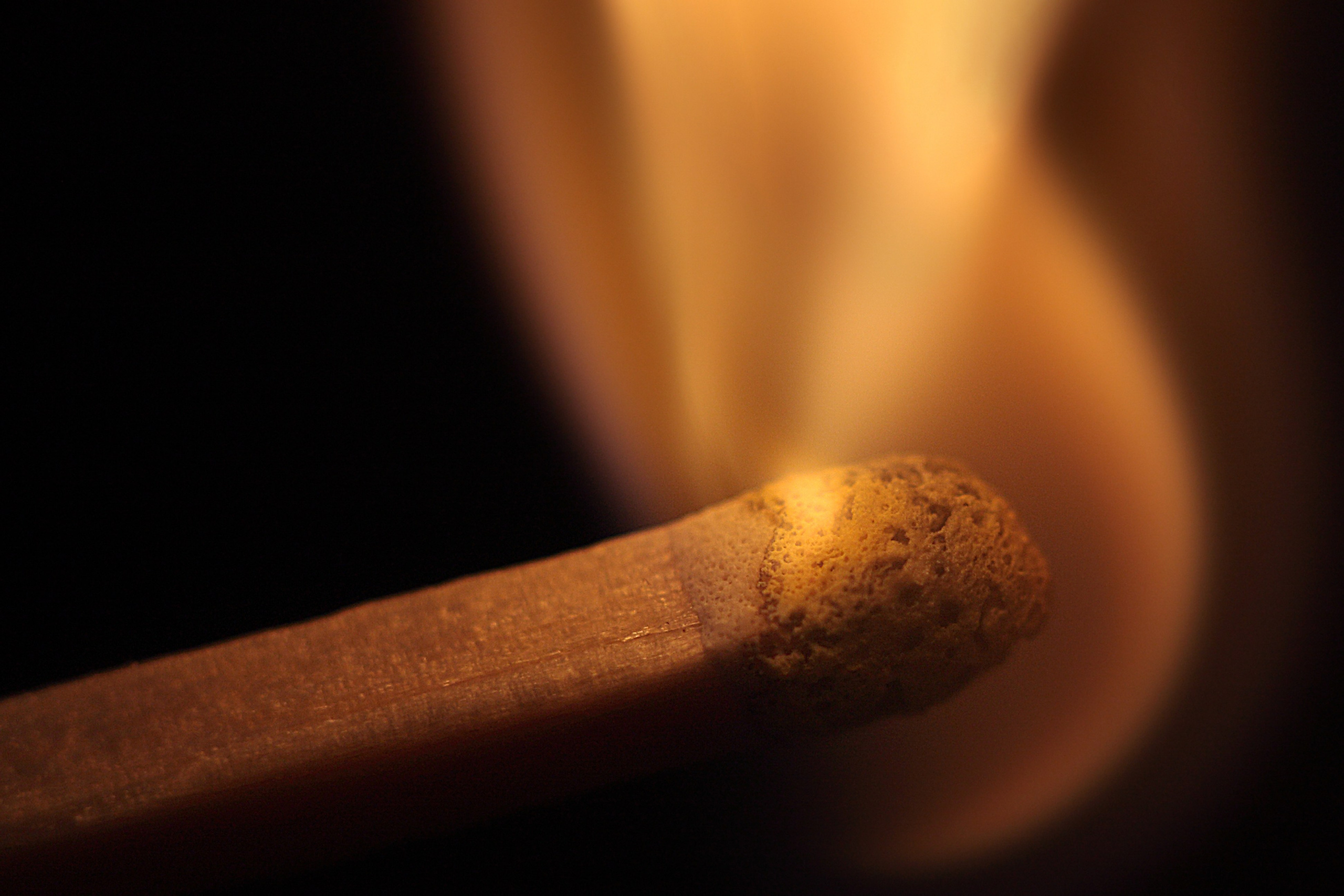 Макро. Фотограф Лагутин Анатолий