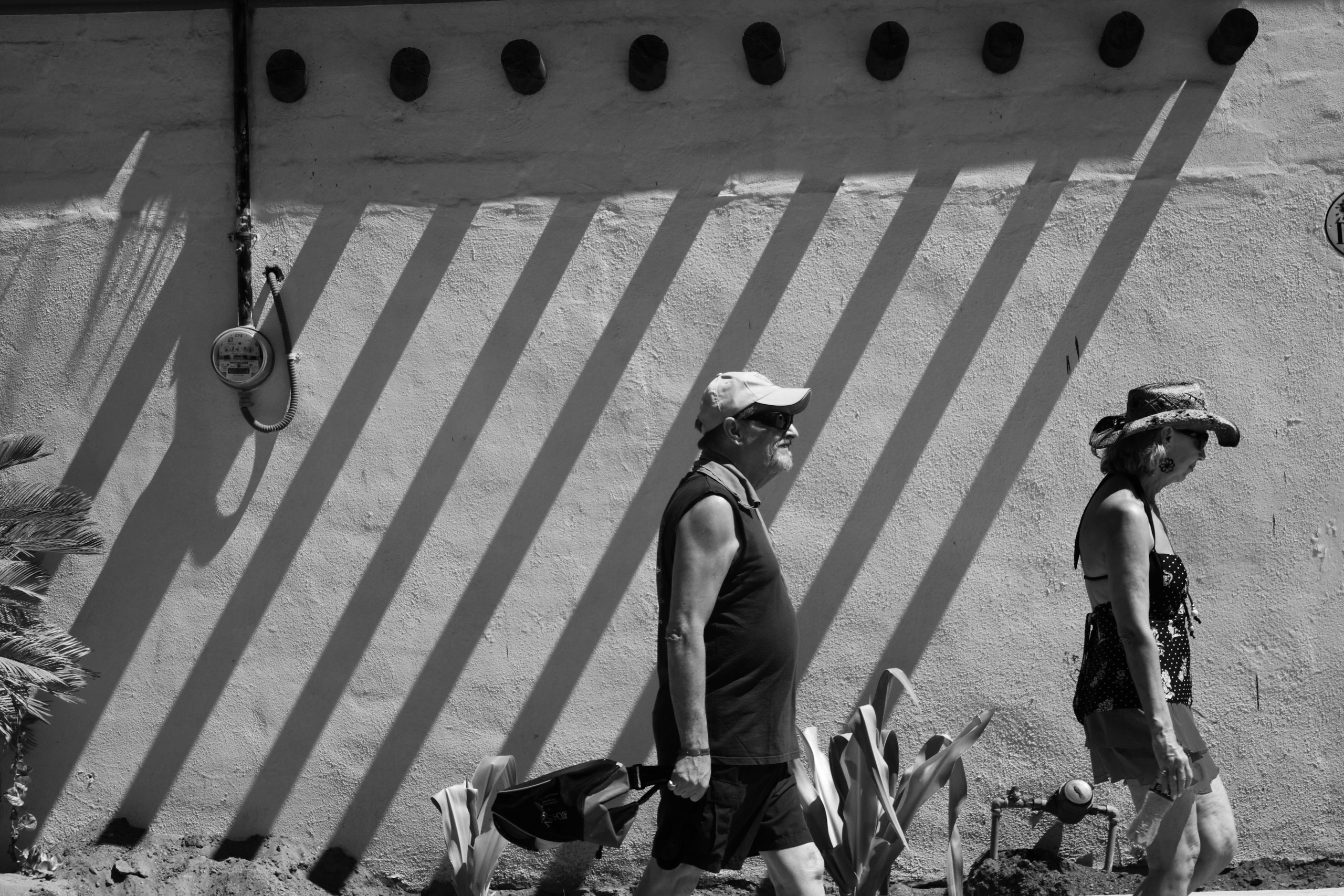 Жанр. Фотограф Лагутин Анатолий