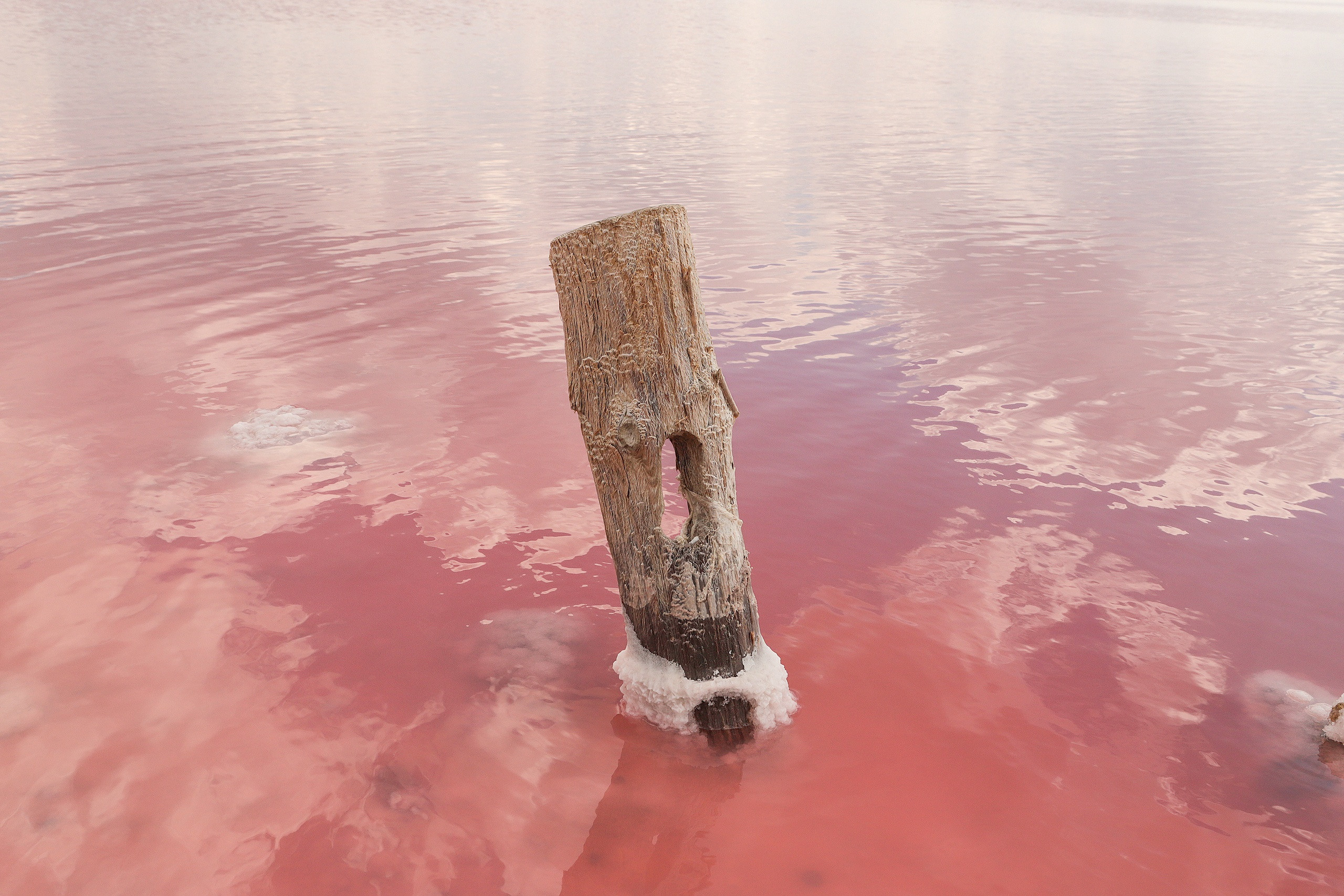 Озеро надежды. Фотограф в Санкт-Петербурге Степанская Юлия