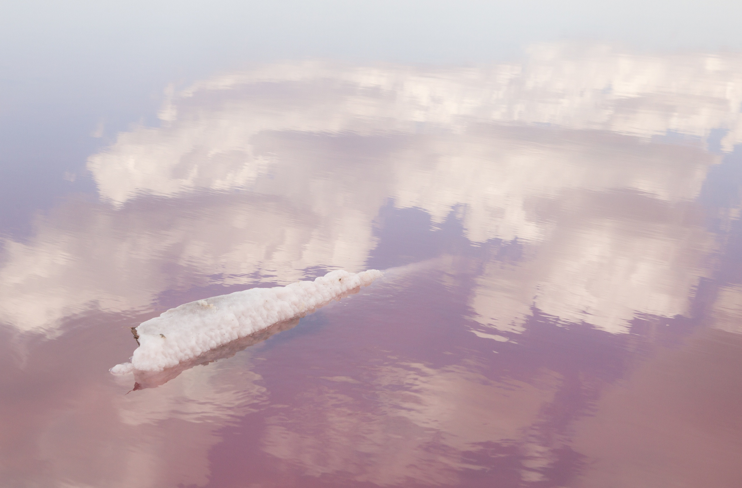 Озеро надежды. Фотограф в Санкт-Петербурге Степанская Юлия