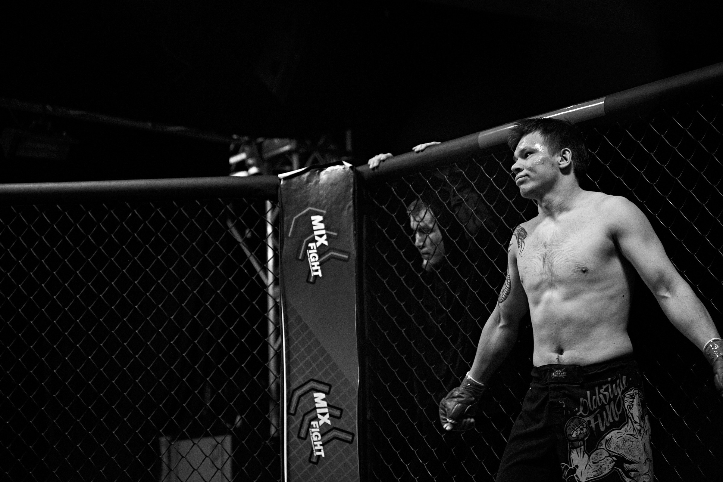 Бои. Маляревич Дмитрий свадебный фотограф