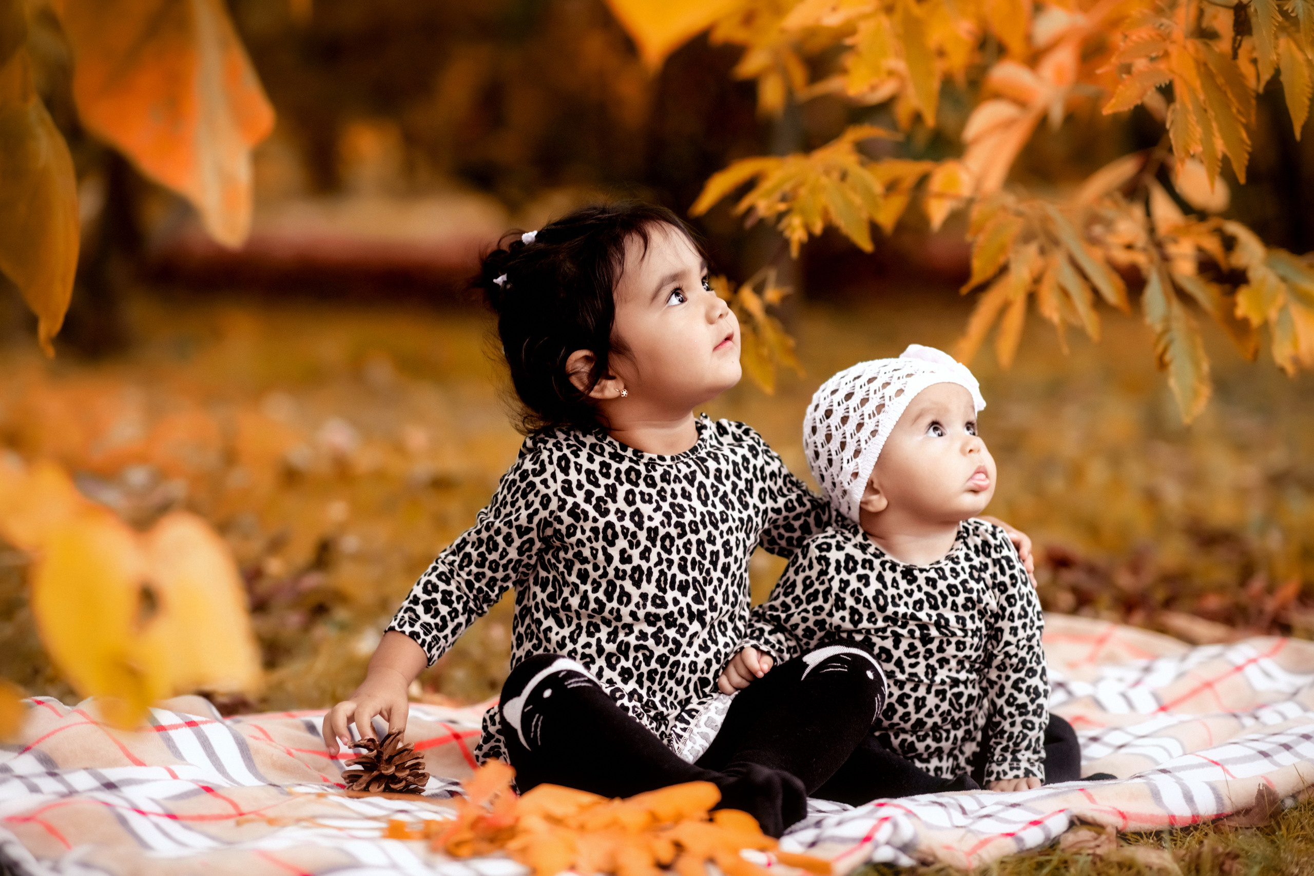 Осень. Свадебный и семейный фотограф и видеограф, Крым, Москва, Санкт -Петербург