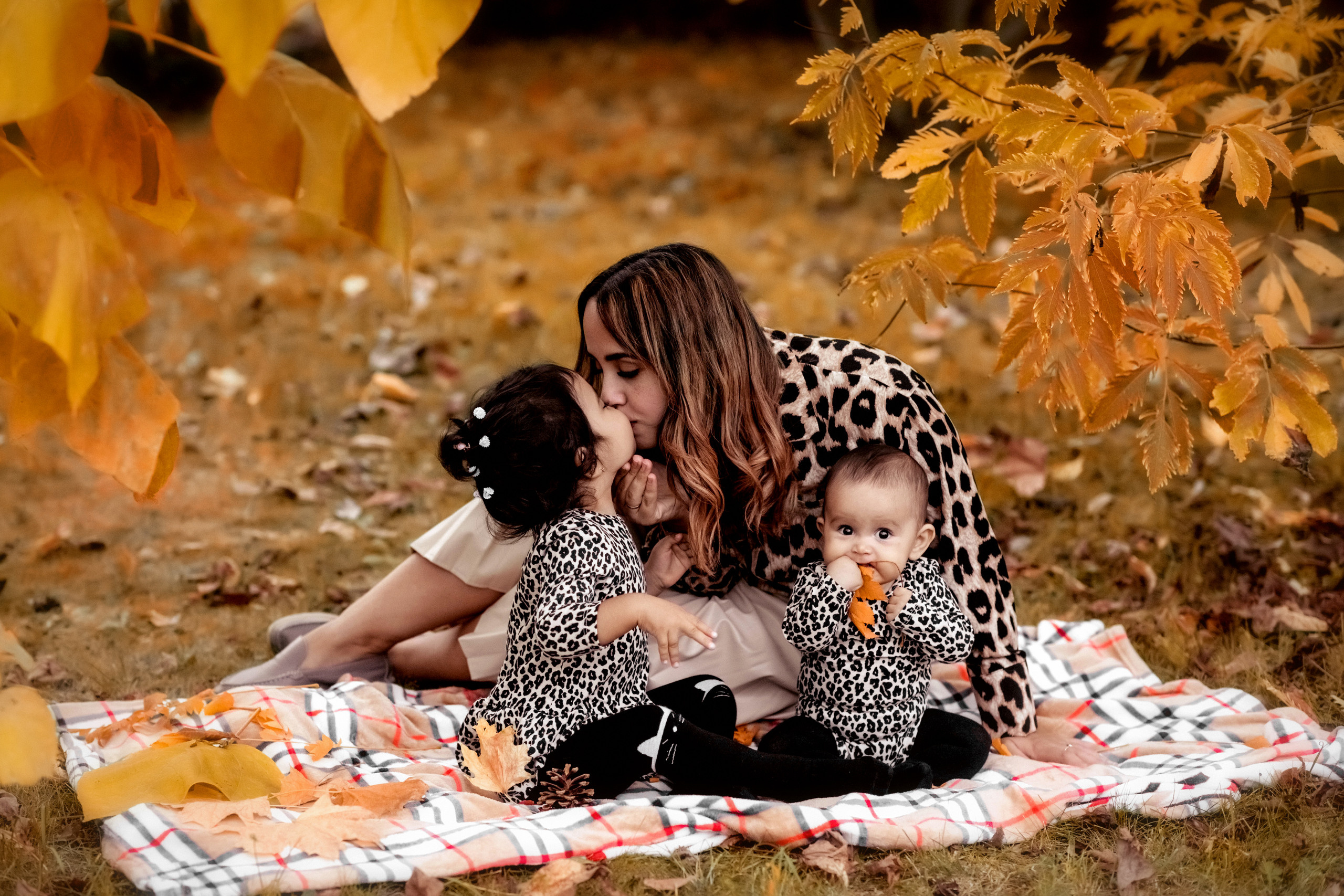 Осень. Свадебный и семейный фотограф и видеограф, Крым, Москва, Санкт -Петербург