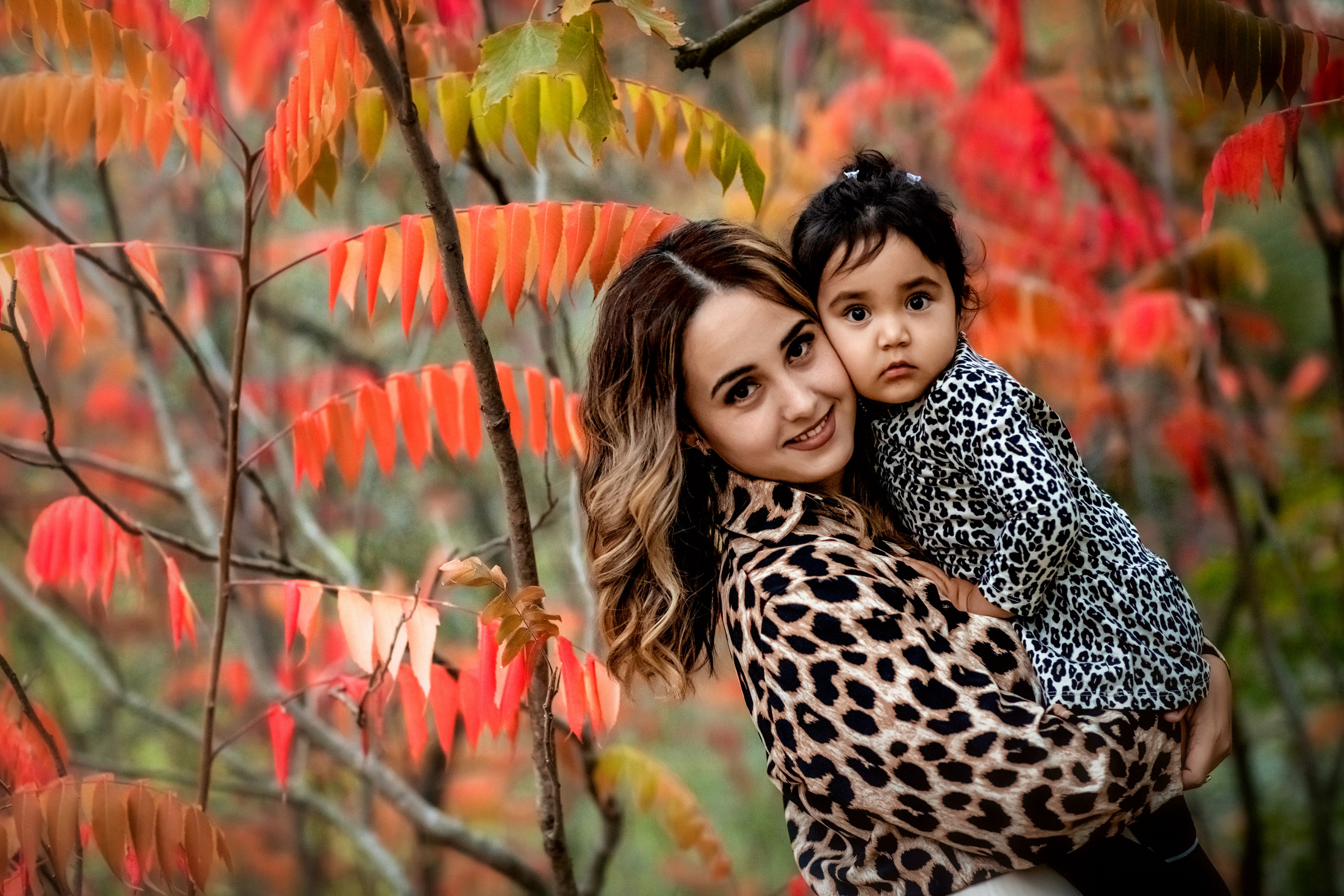 Осень. Свадебный и семейный фотограф и видеограф, Крым, Москва, Санкт -Петербург