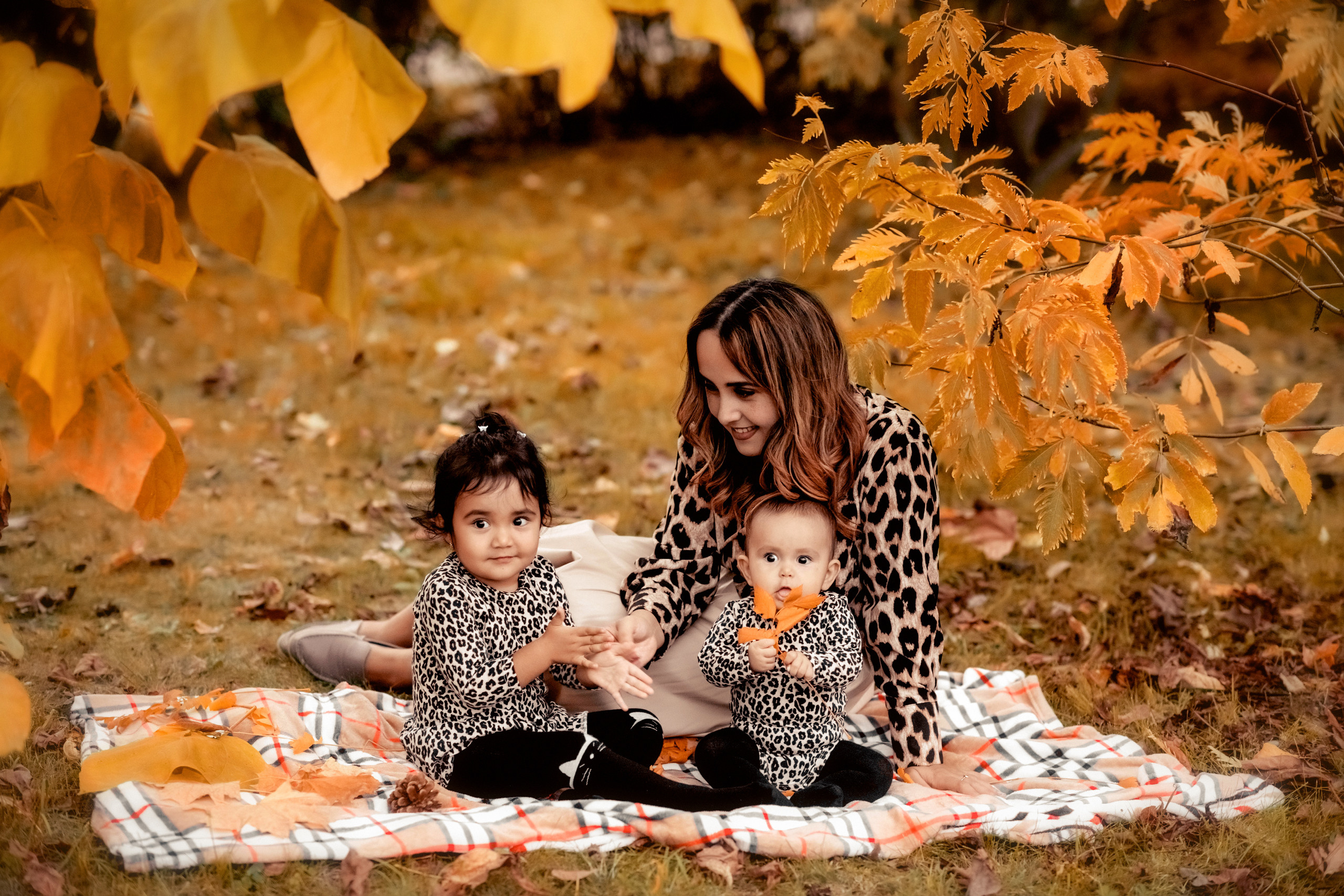 Осень. Свадебный и семейный фотограф и видеограф, Крым, Москва, Санкт -Петербург