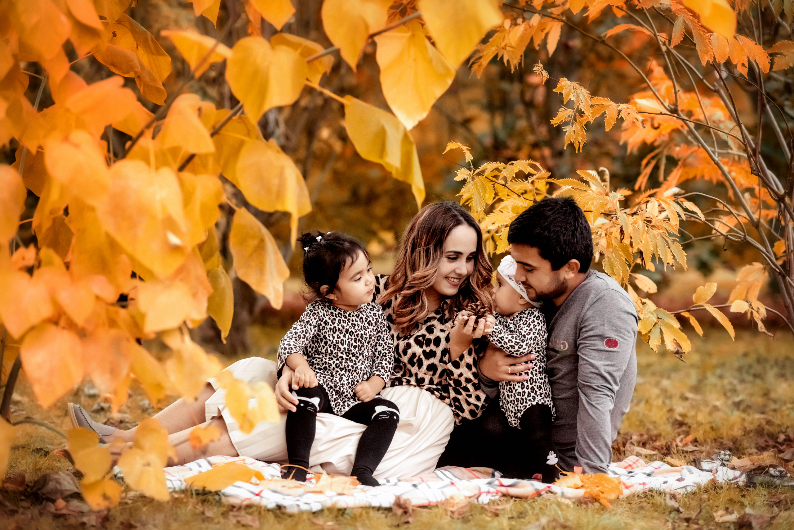 Осень. Свадебный и семейный фотограф и видеограф, Крым, Москва, Санкт -Петербург