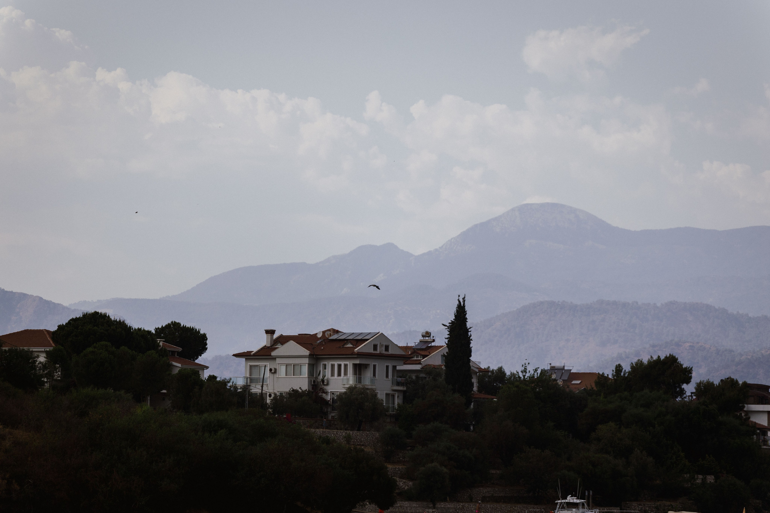 Wedding day Alena+Sergey. About