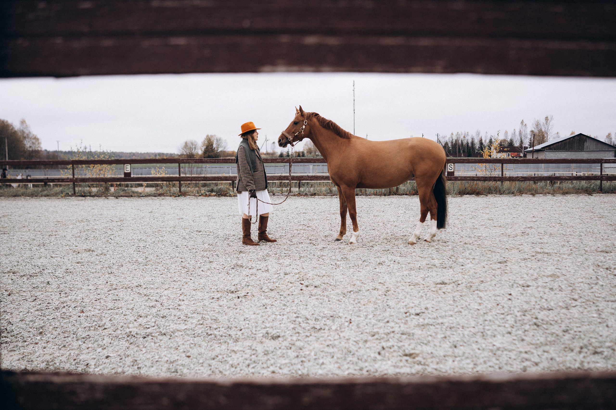 Фотосессия с лошадьми. Фотограф Новорожденных в Москве. Семейные истории в стиле LIFE