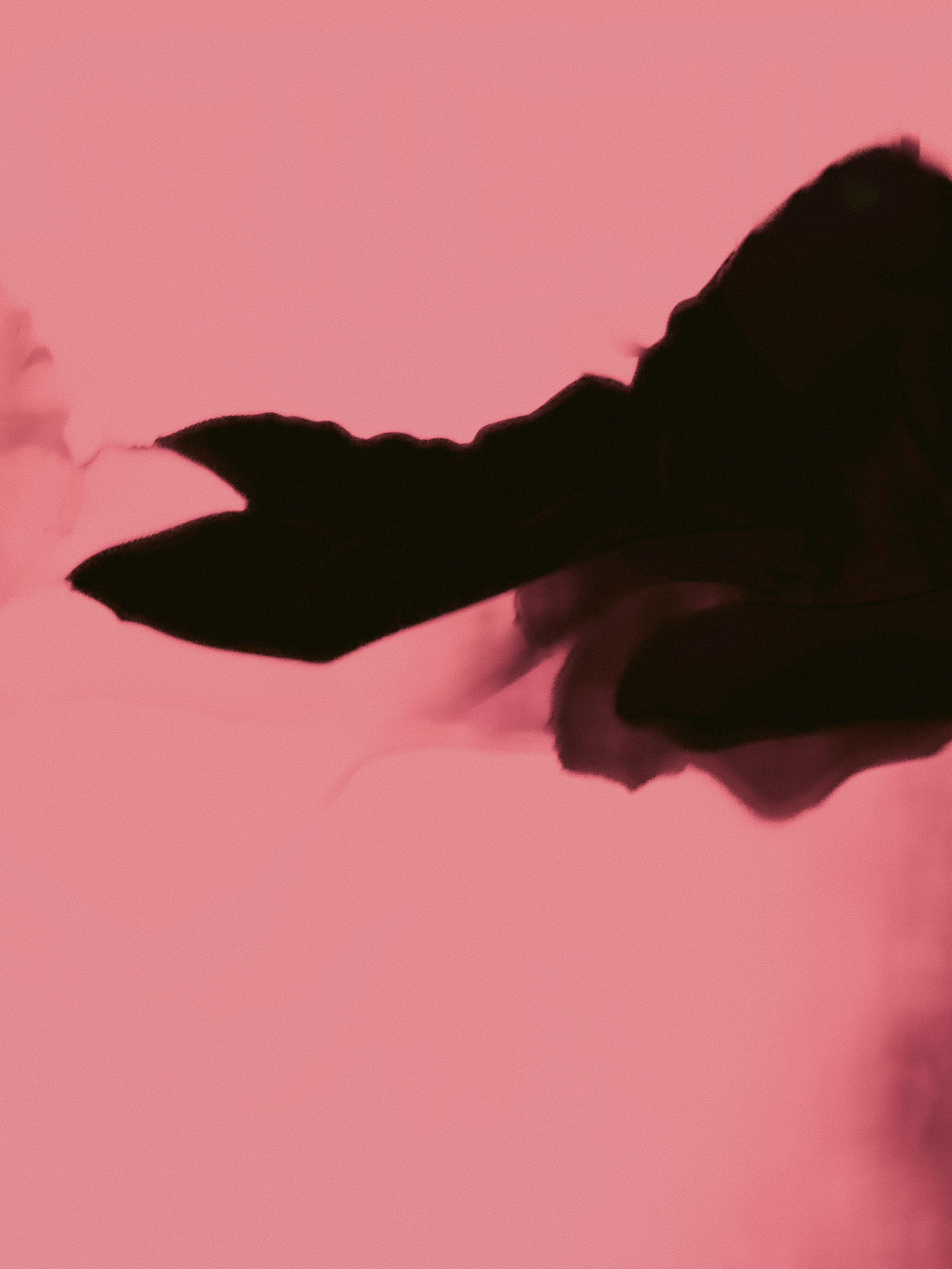 #006. Иван Благушин. Интерьерный и архитектурный фотограф в Москве и Санкт-Петербурге