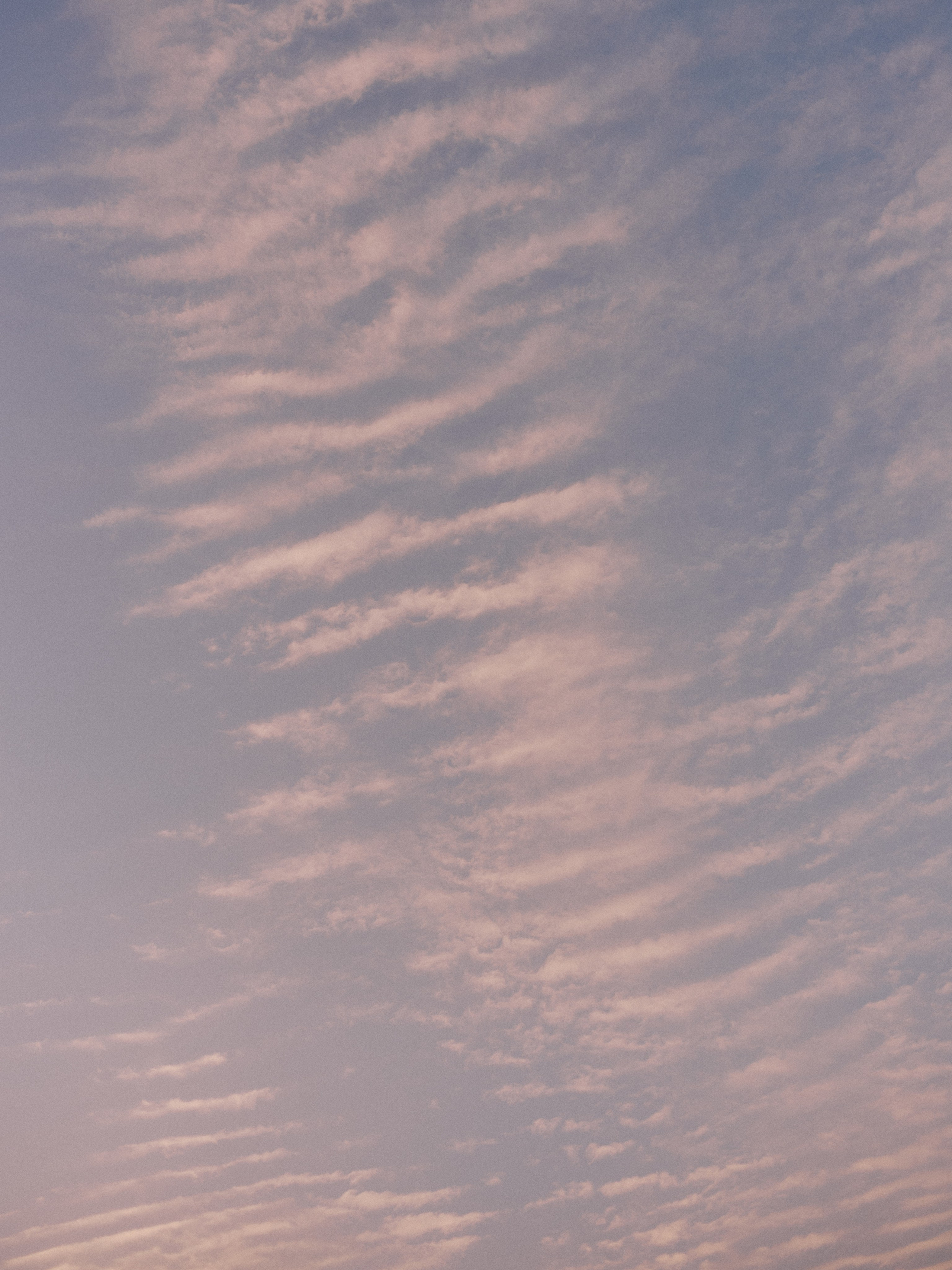 Другое 3. Jorgis Talè — photographer, kind person, teacher of arts and other mag