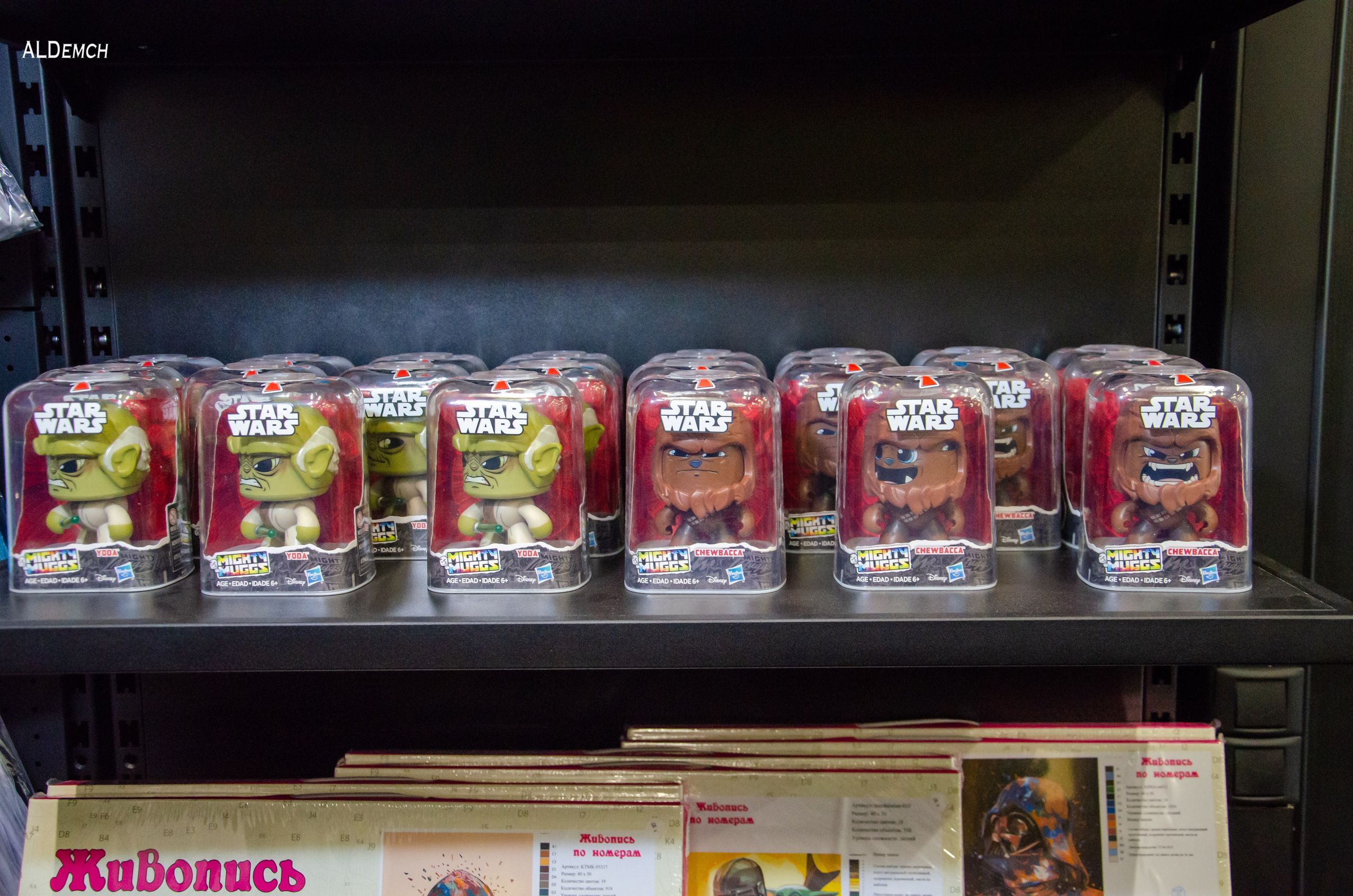 Фотосессия на ВДНХ косплей выставки по звёздным войнам