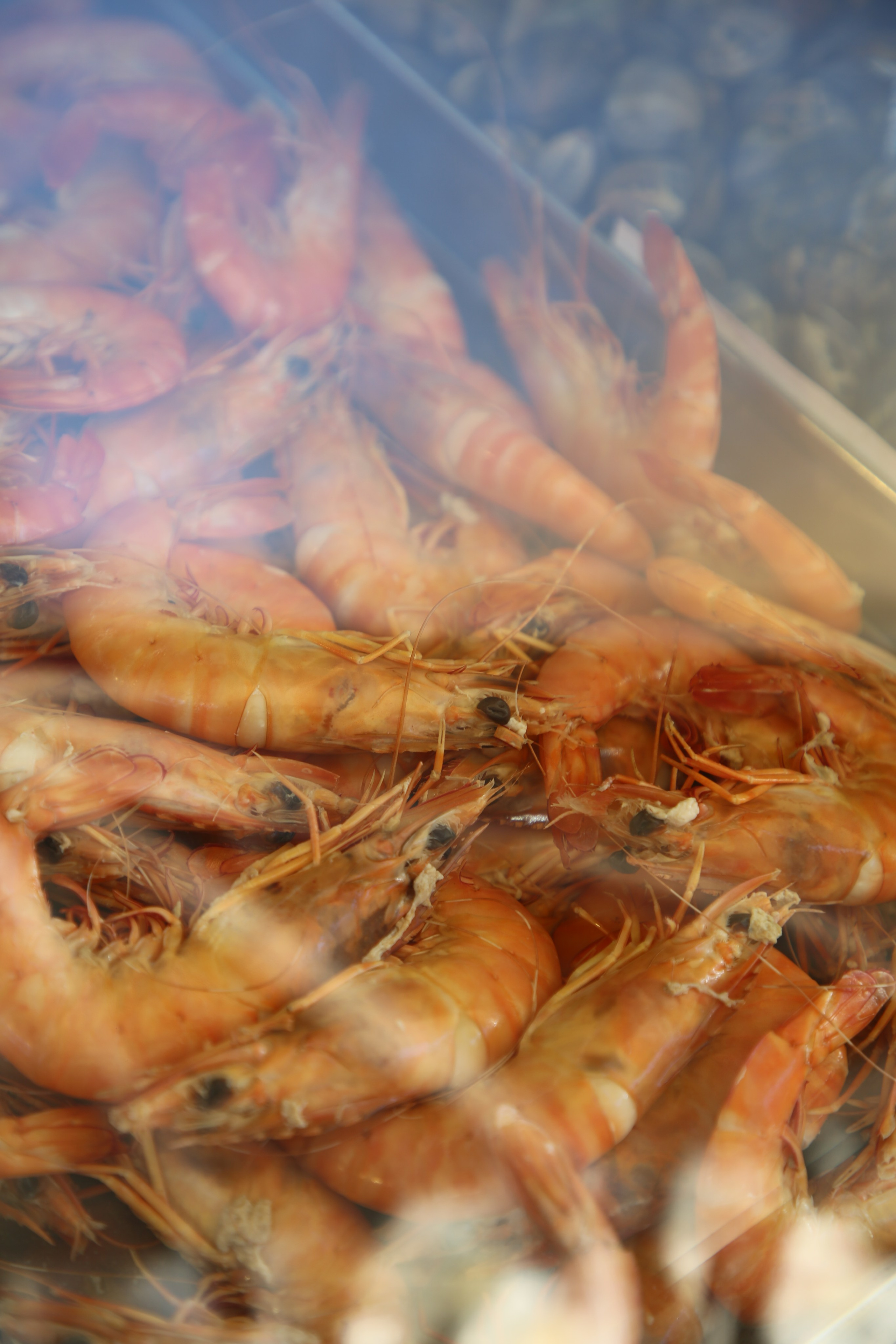 Lisbon, Portugal. Andrey Filippov Photographer