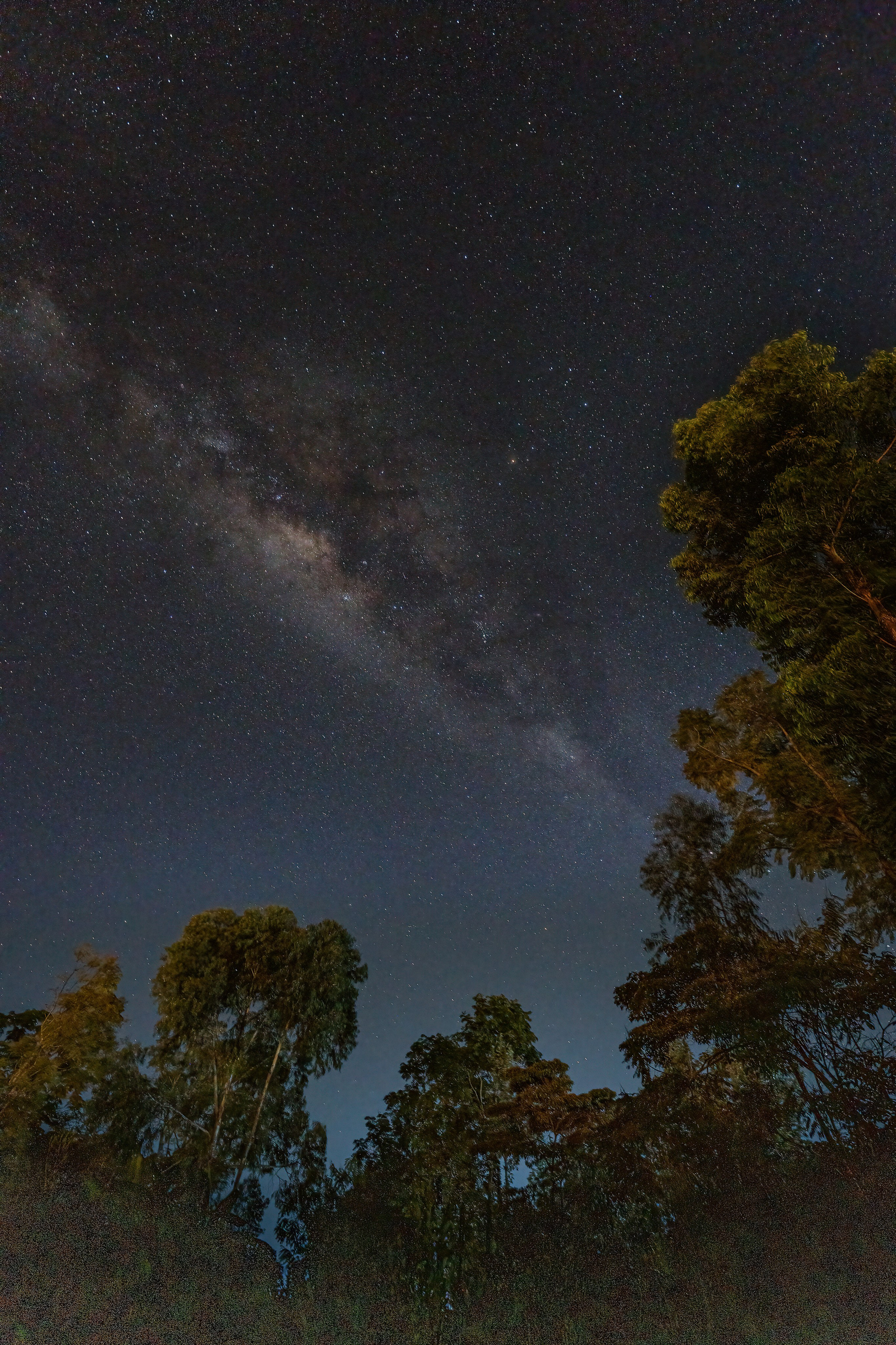 Танзания, сафари, 2025. Творческие сьемки