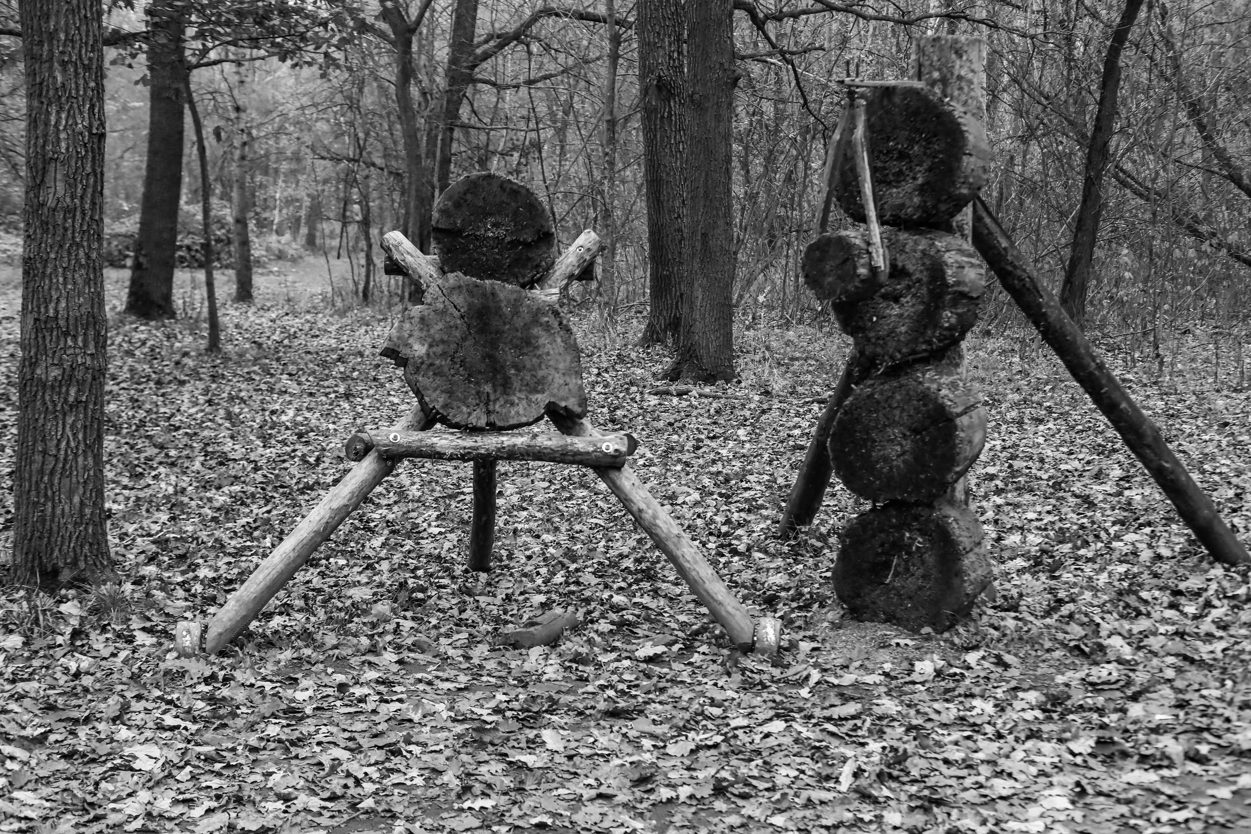 Качалка в лесу — 2022. Стас Привалов