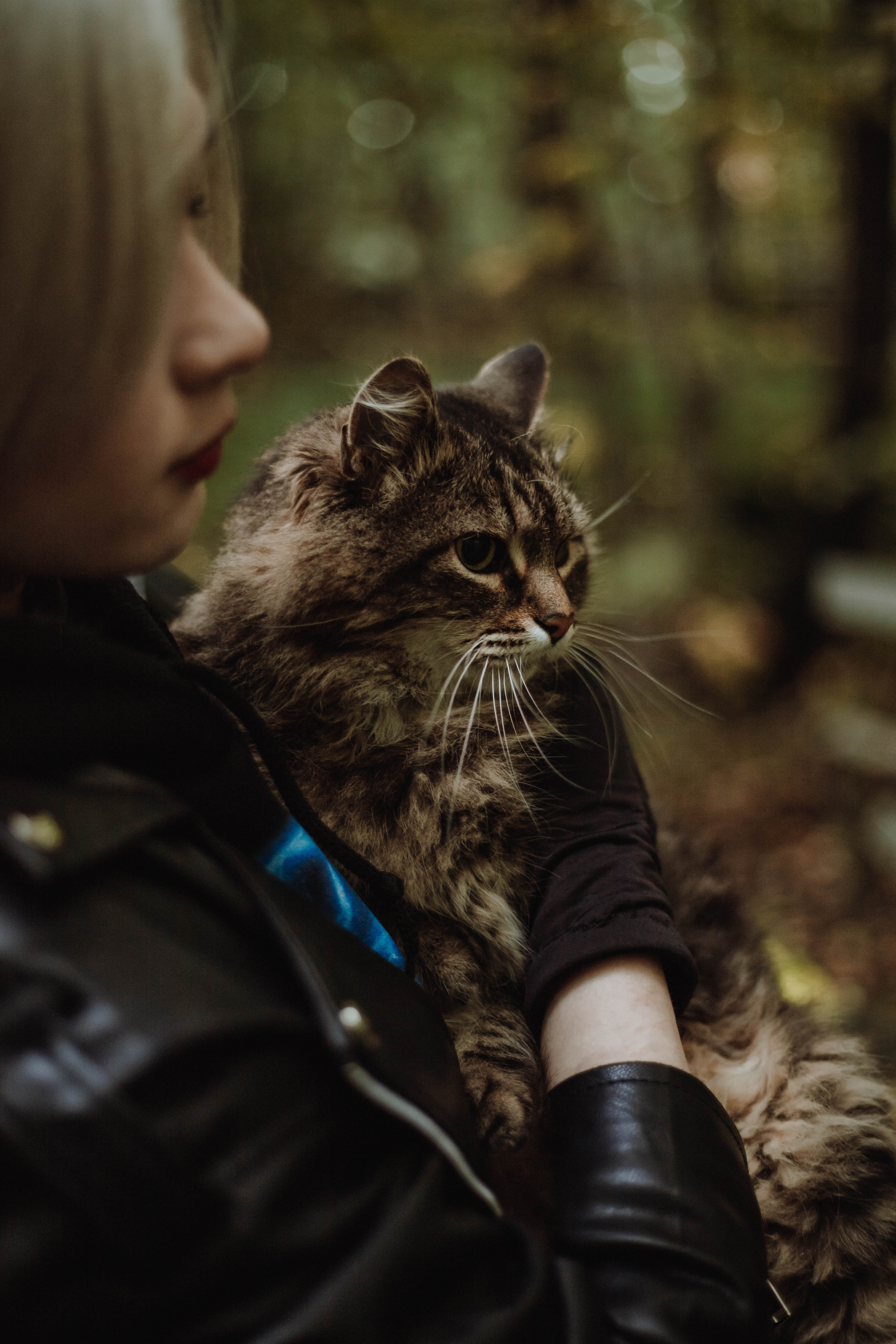 Андрей+Настя. Свадебный и семейный фотограф в Санкт-Петербурге Лолита Евстифеева