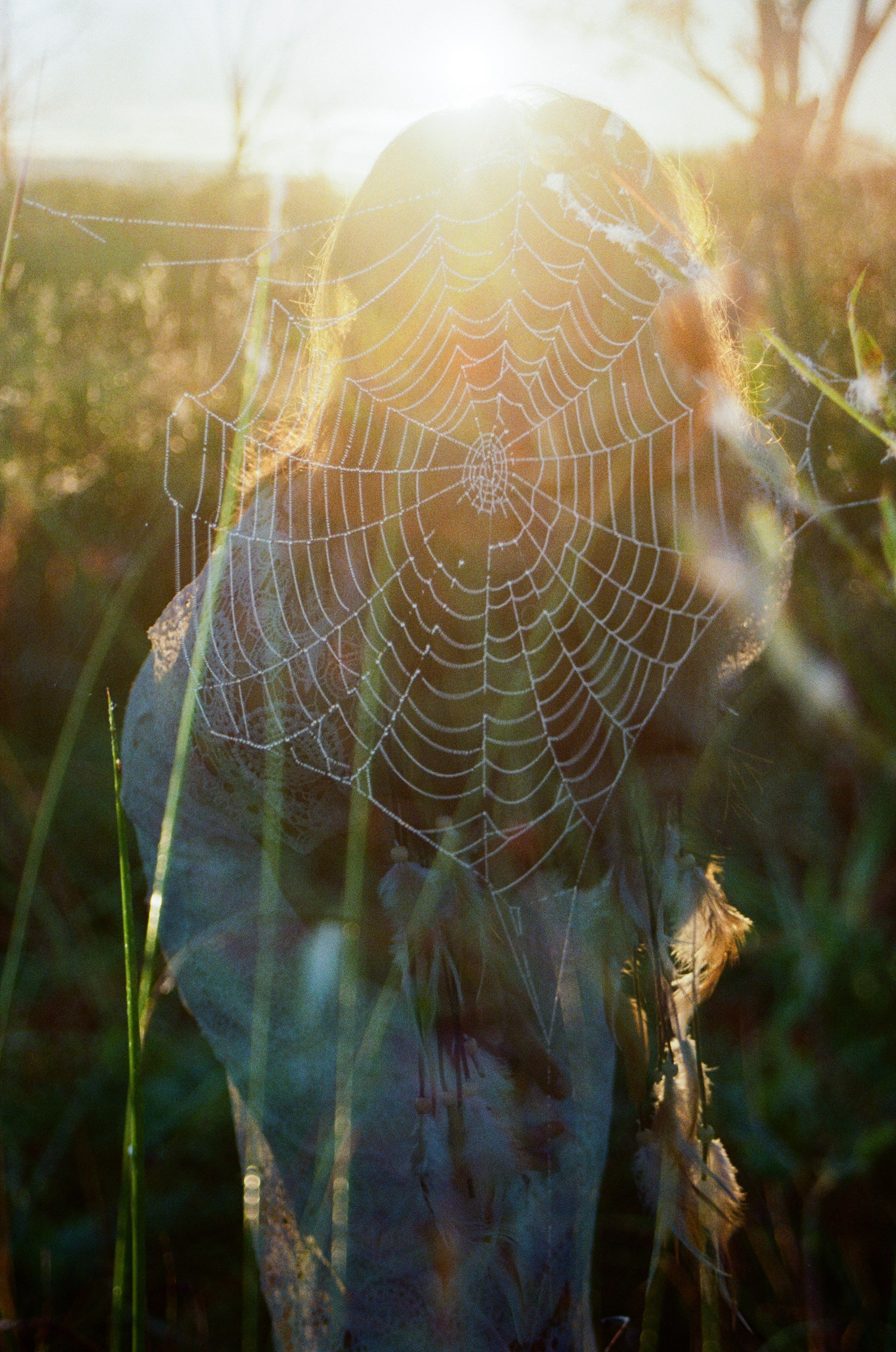 Психоделика. Фотограф Соня с Земли