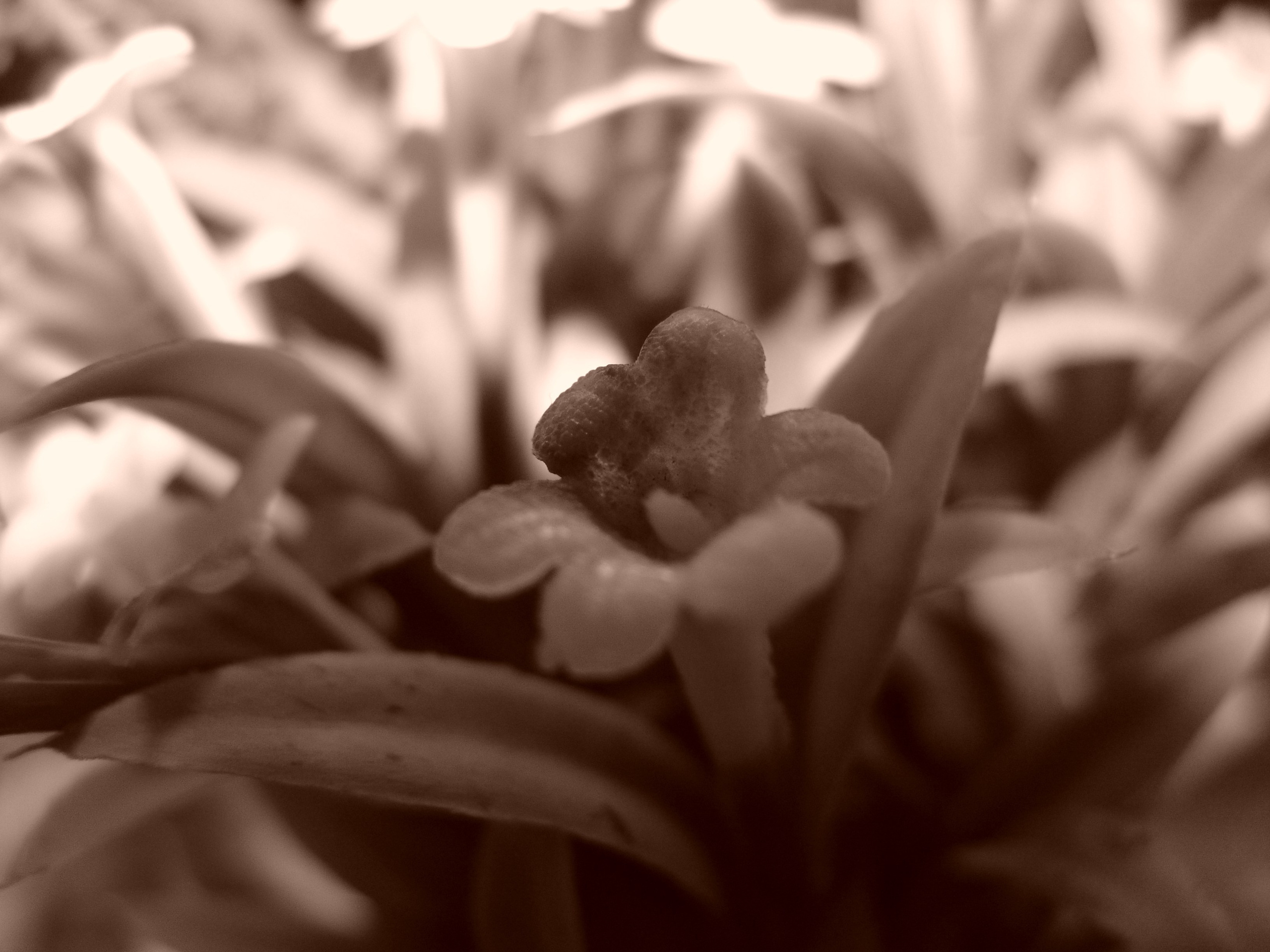 Ергали 11 08 2005. Заставка