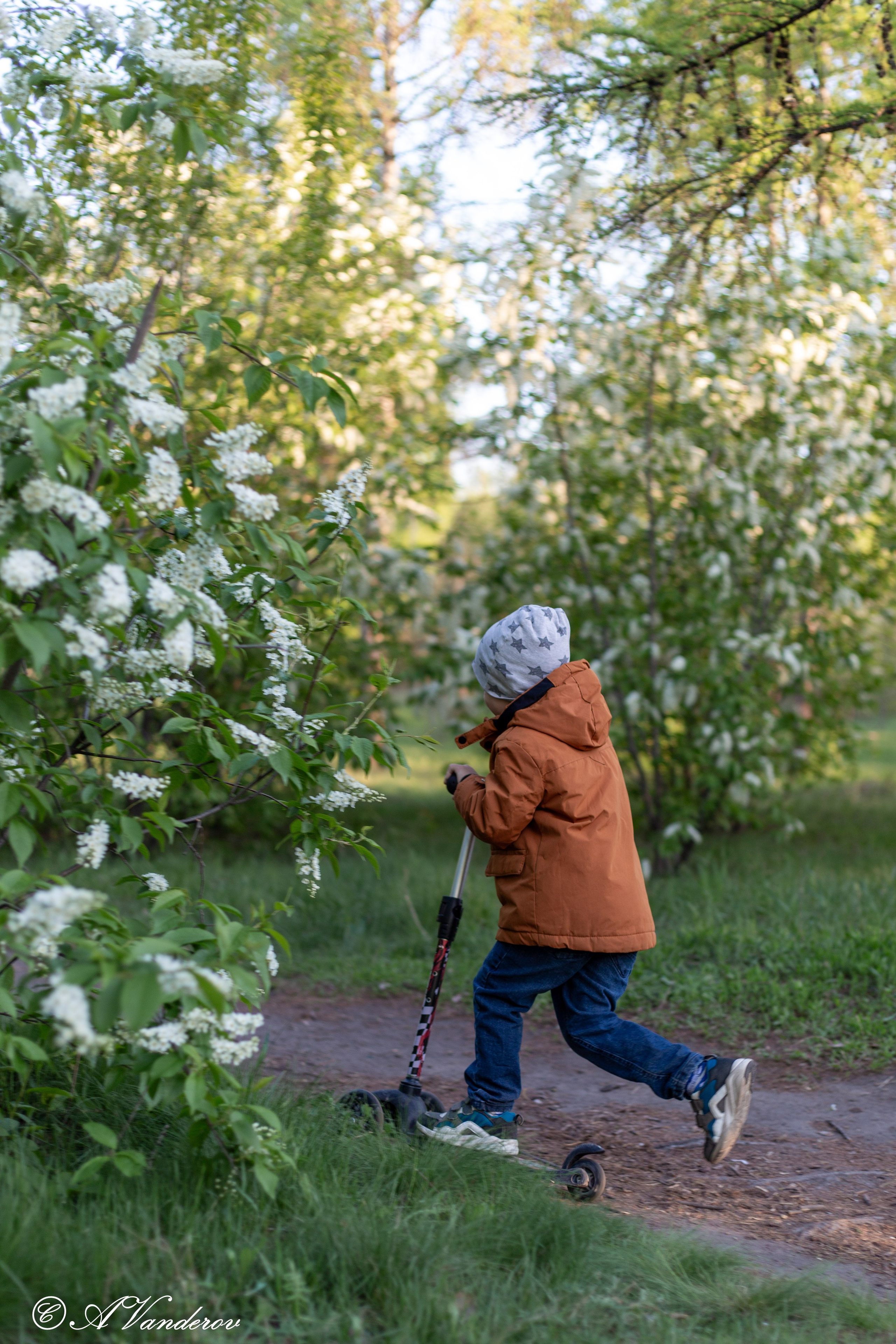 Фотосессии. Фотограф Омск | Александр Вандеров