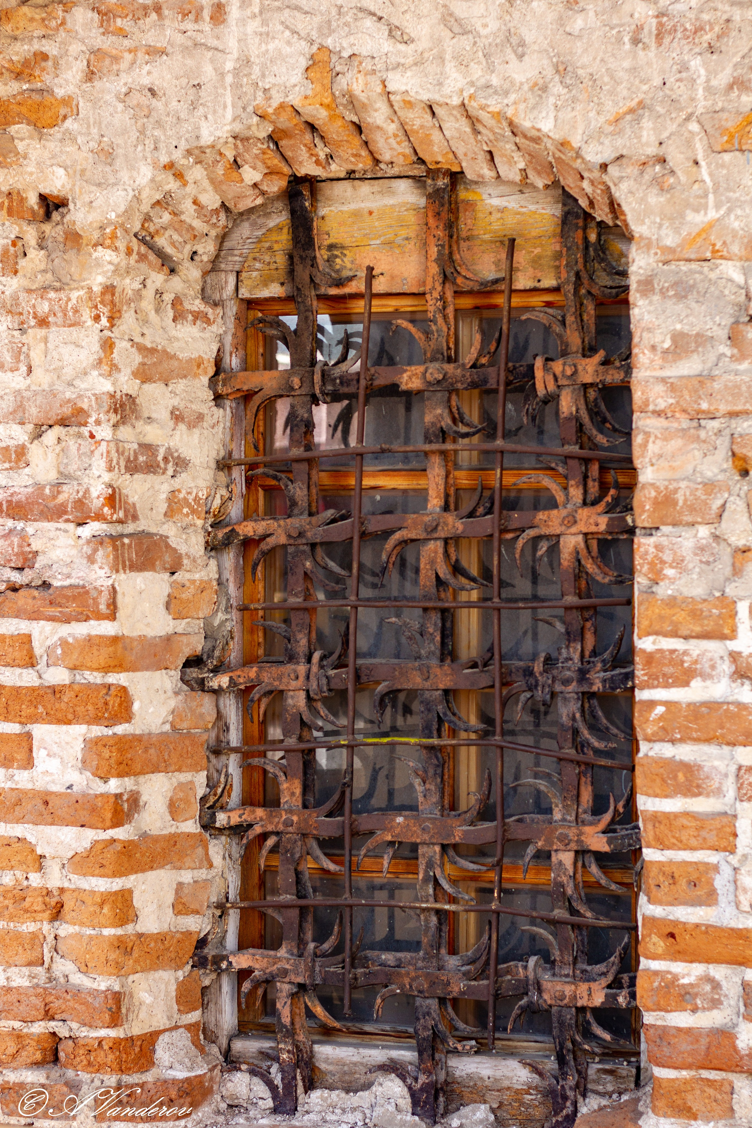 Омск 2023. Фотограф Омск | Александр Вандеров