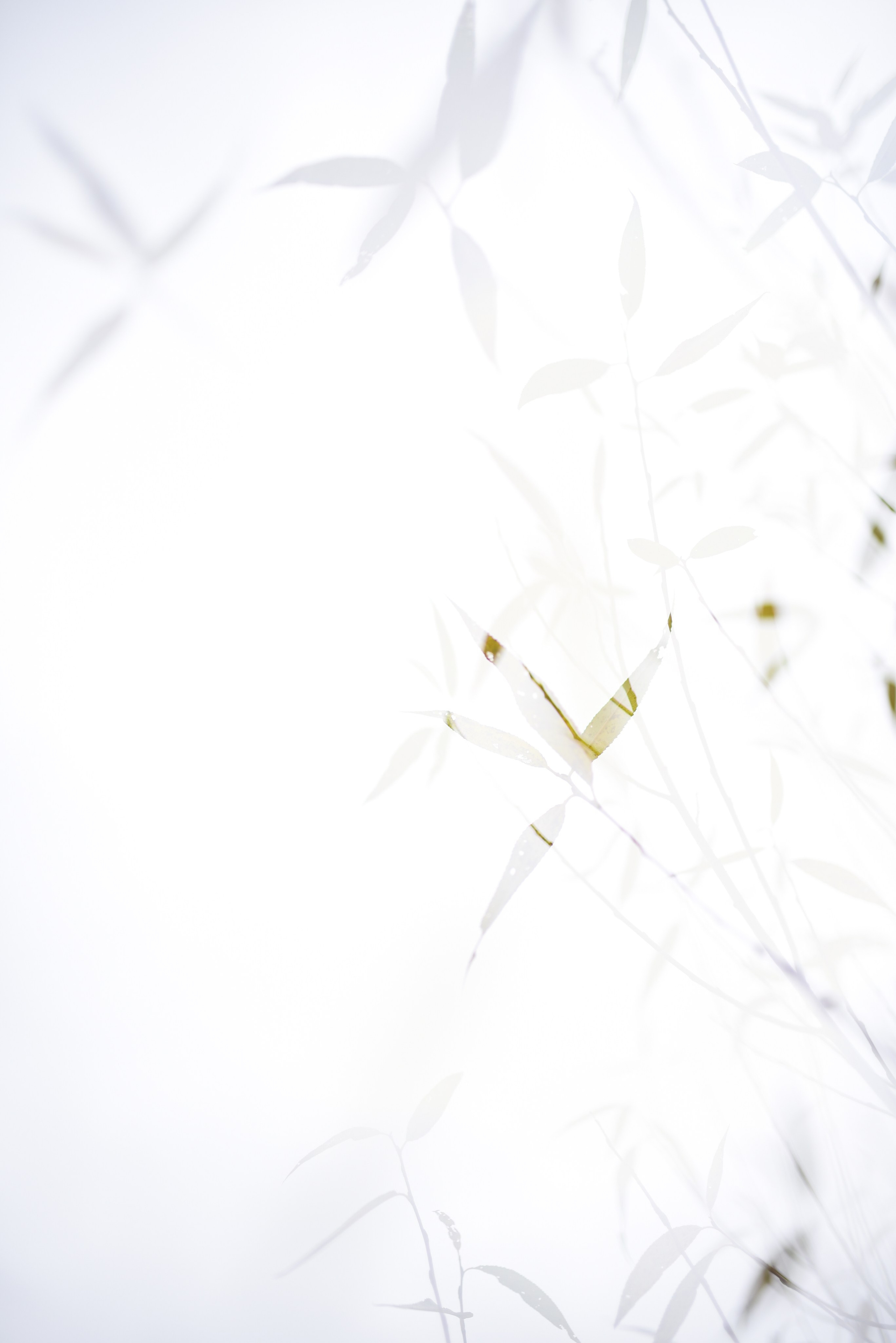 Nature. Anastasia Serdyuk, travel photo, portraits, lifestyle, stories, fine art prints