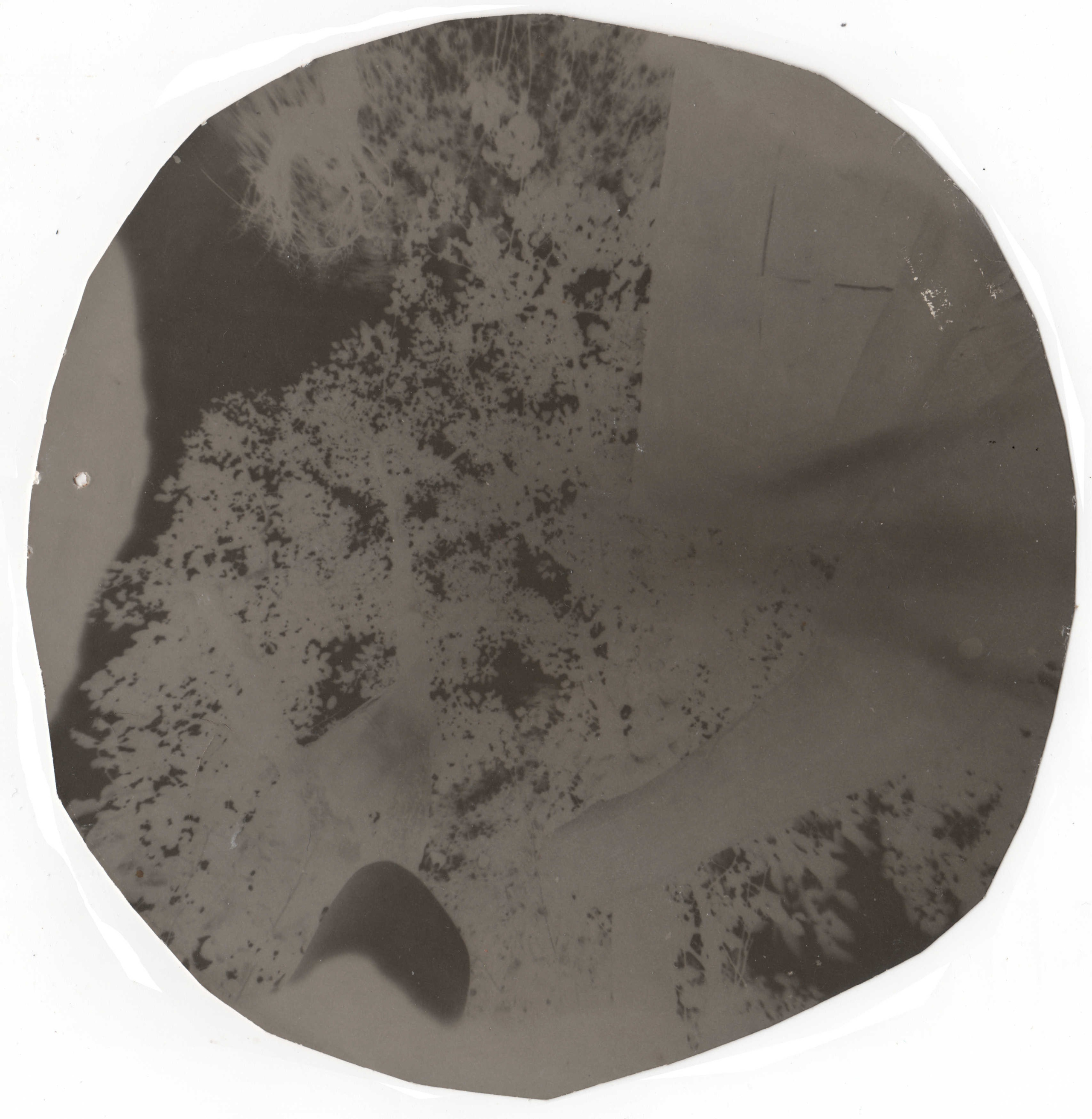 Фото-альтернатива. Данил Андреев, мультидисциплинарный художник, Санкт-Петербург