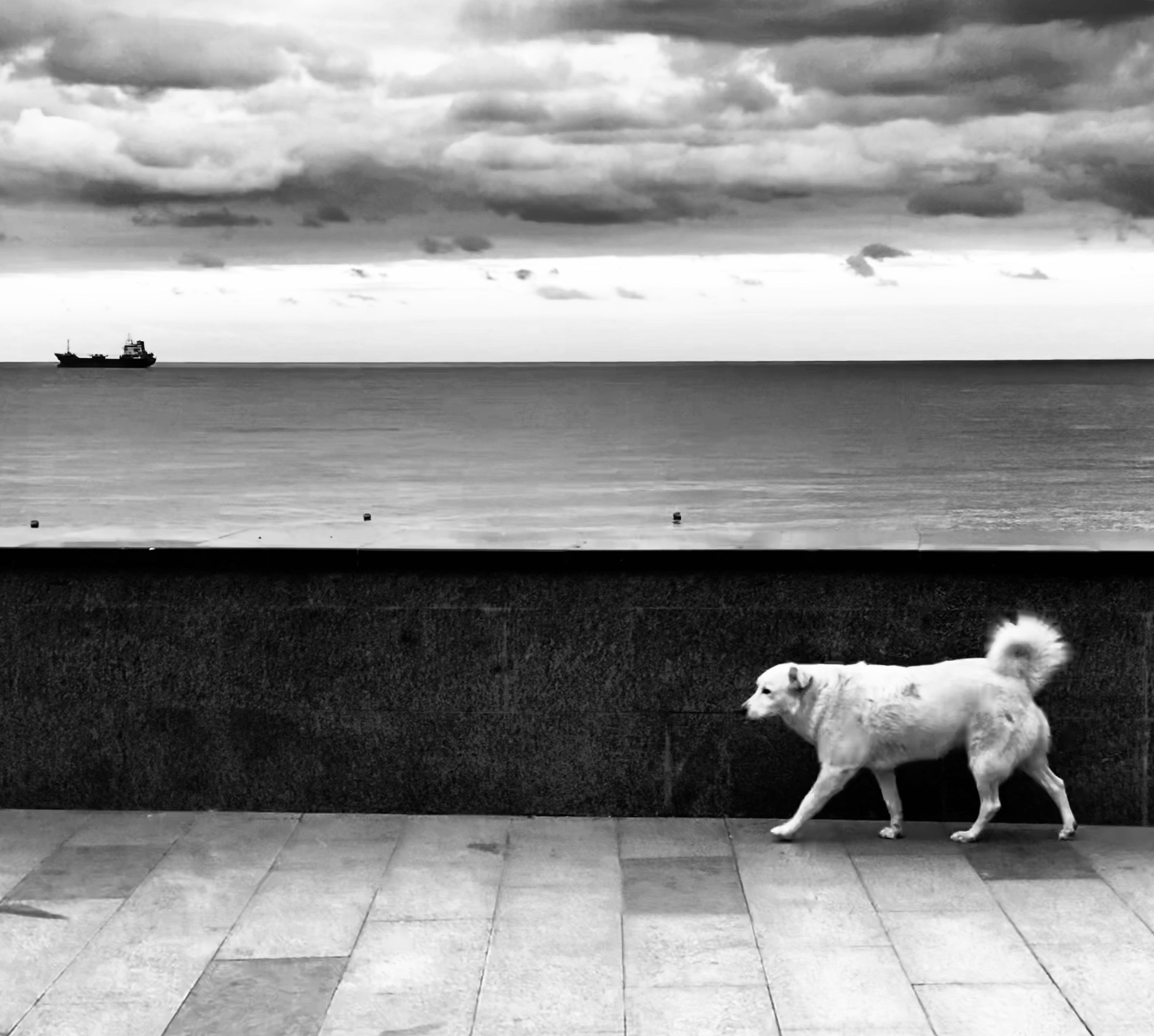 Работы с телефона. Свадебный фотограф в Москве Сафонова Анна