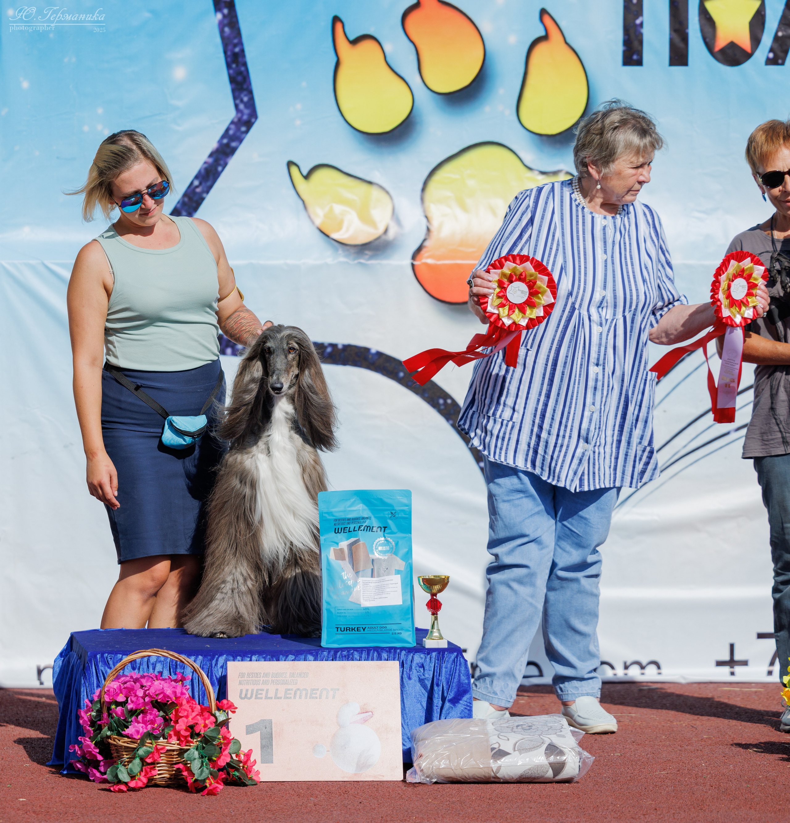 Коломна 30.08.2025. Фотограф-анималист Юлия Германика