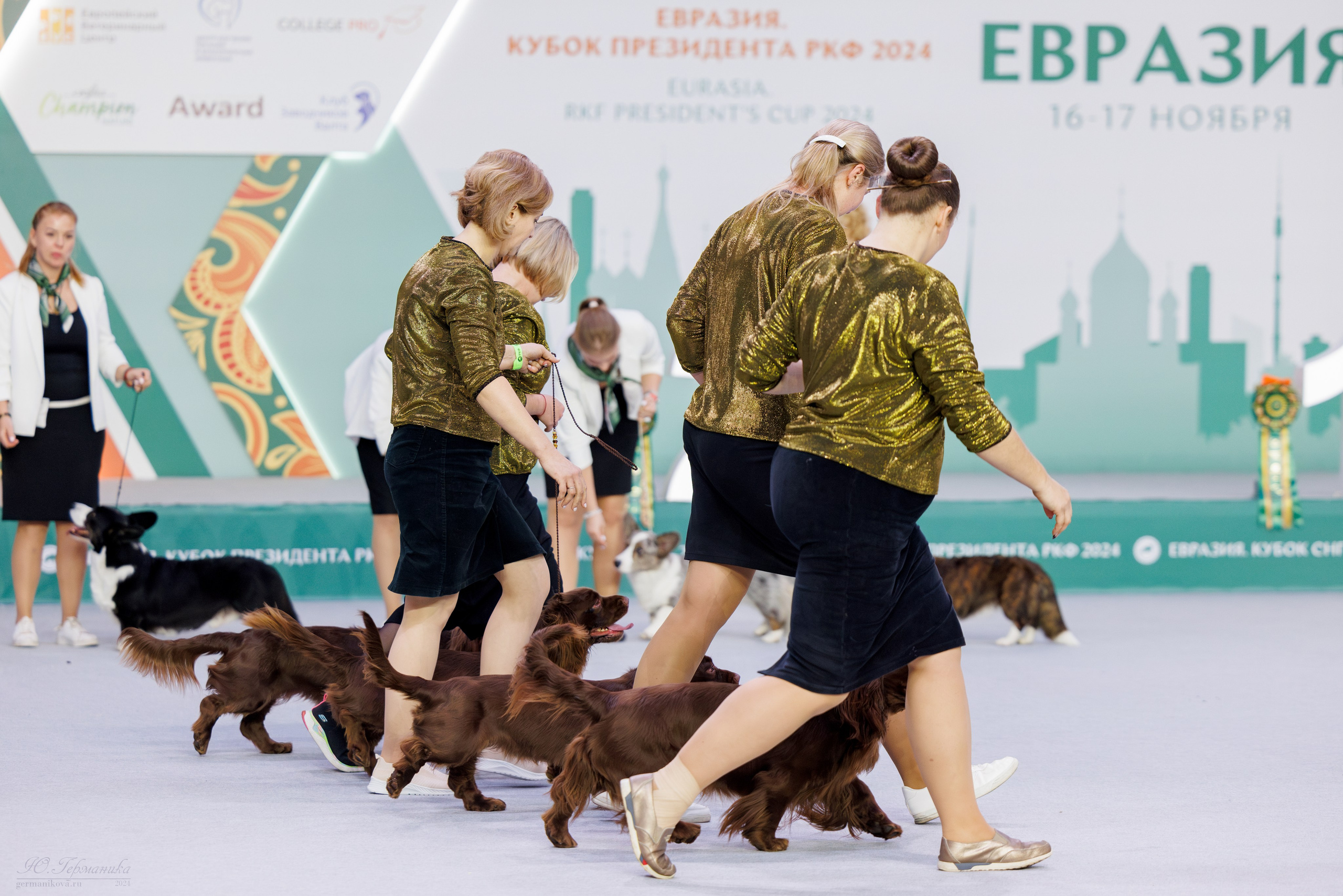 Евразия 16-17.11.2024. Фотограф-анималист Юлия Германика