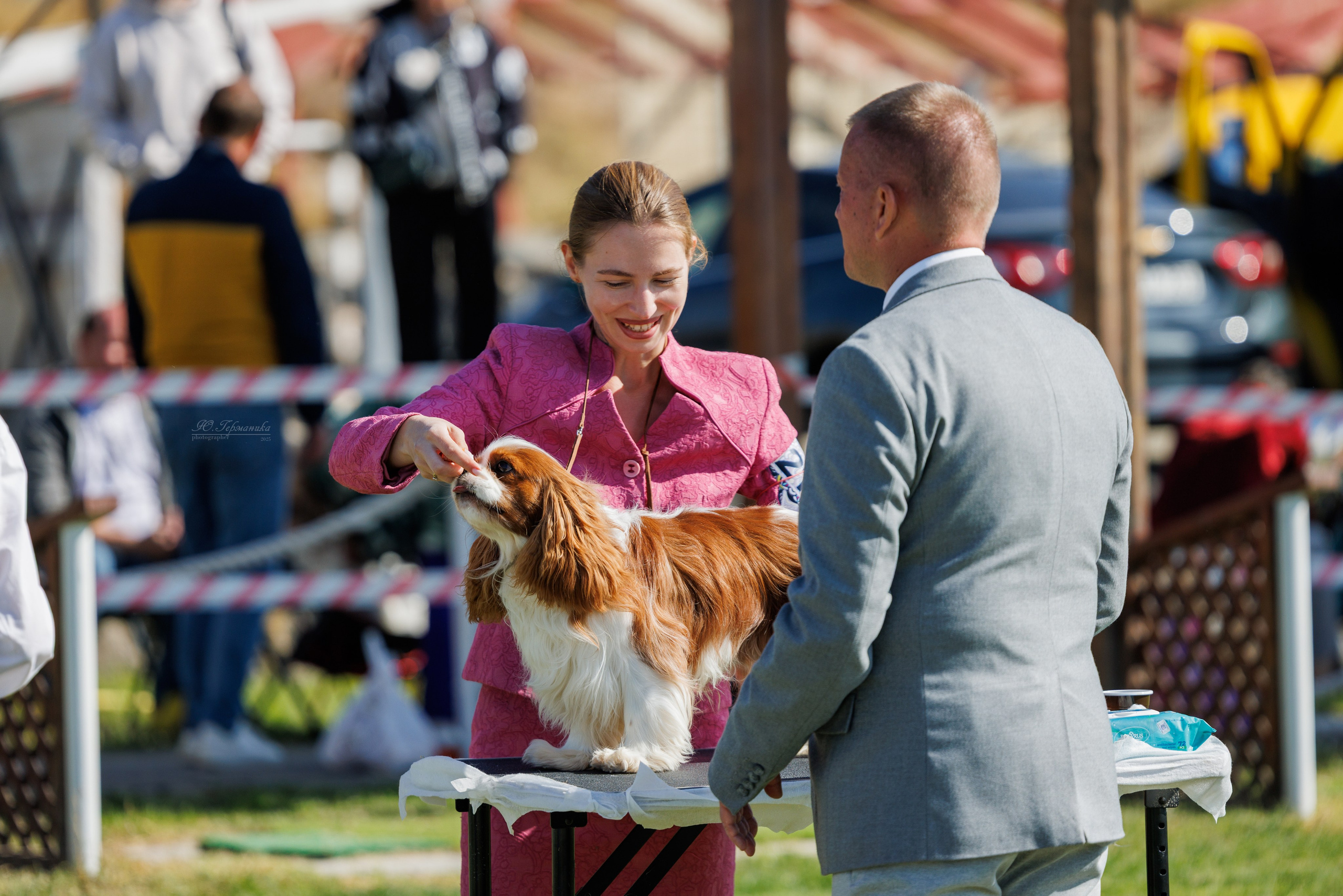 Ереван 14-16.10.2025. Фотограф-анималист Юлия Германика