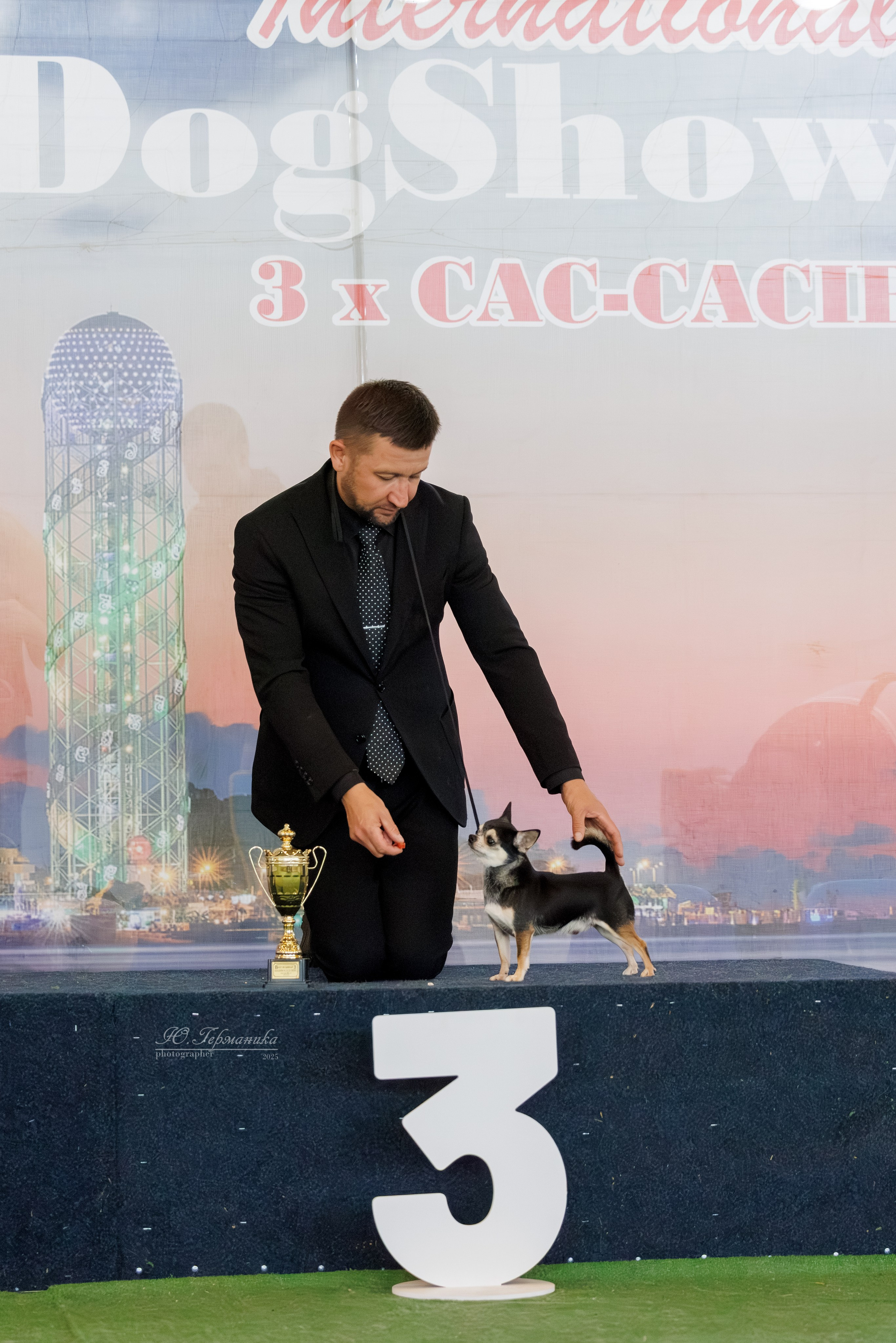 Батуми 3хCACIB 27-29.06.2025. Фотограф-анималист Юлия Германика