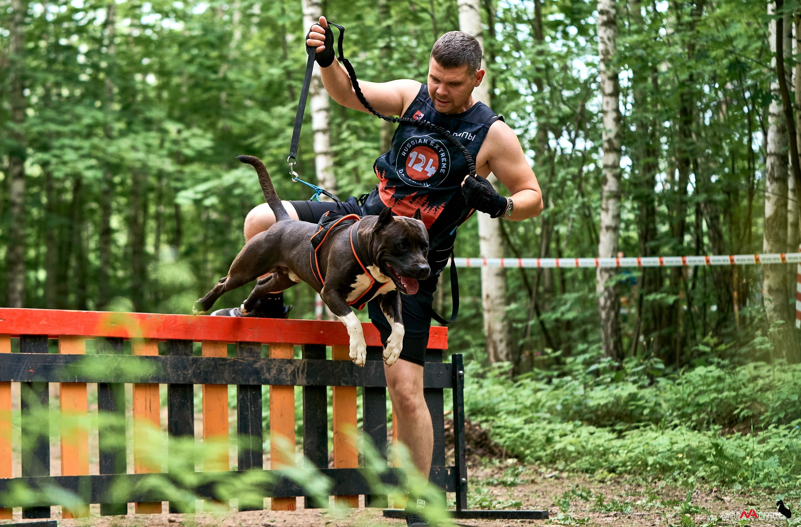 Russian Extreme Dog Trail — 2025