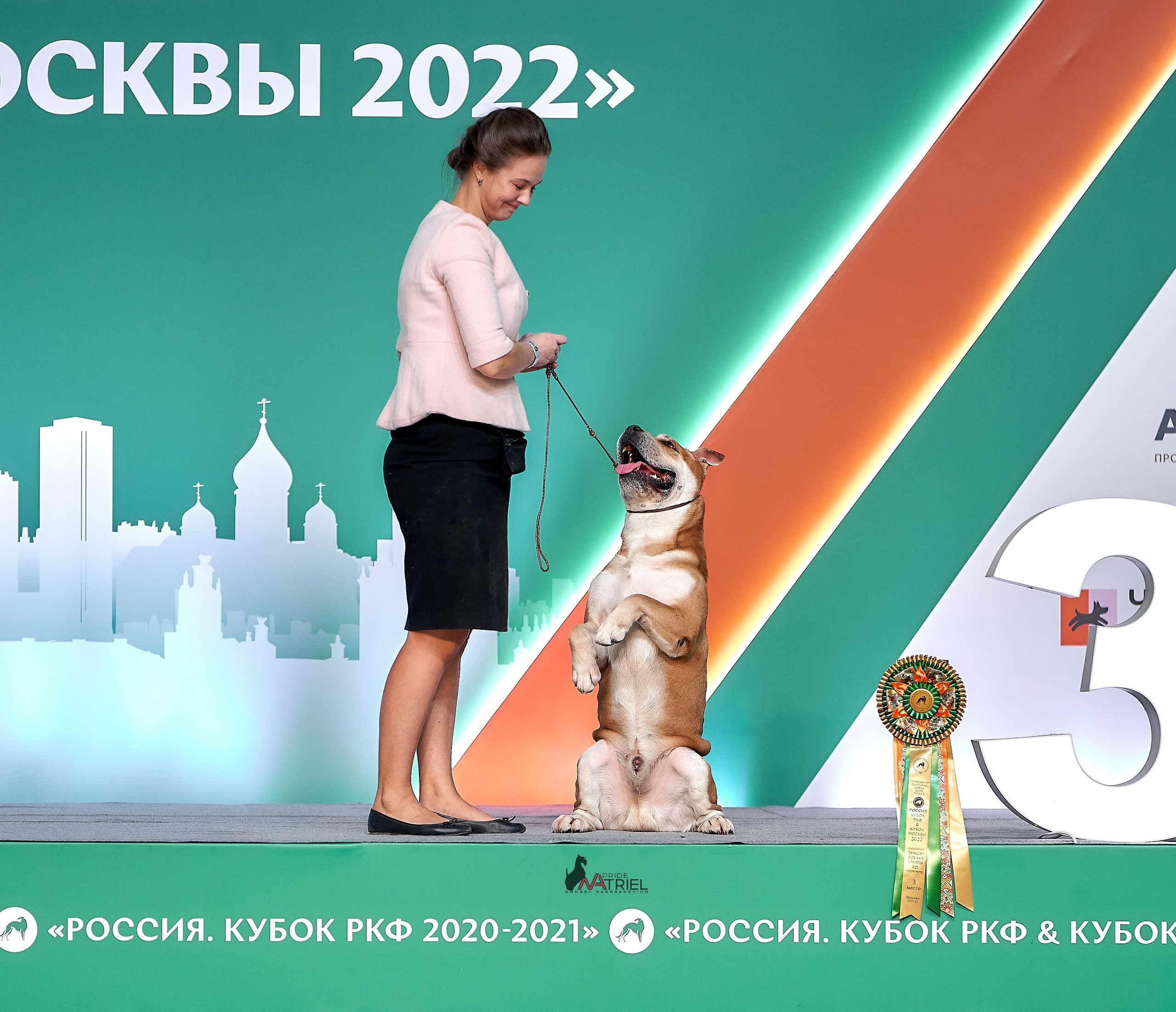 Призовые места — галерея NATRIEL