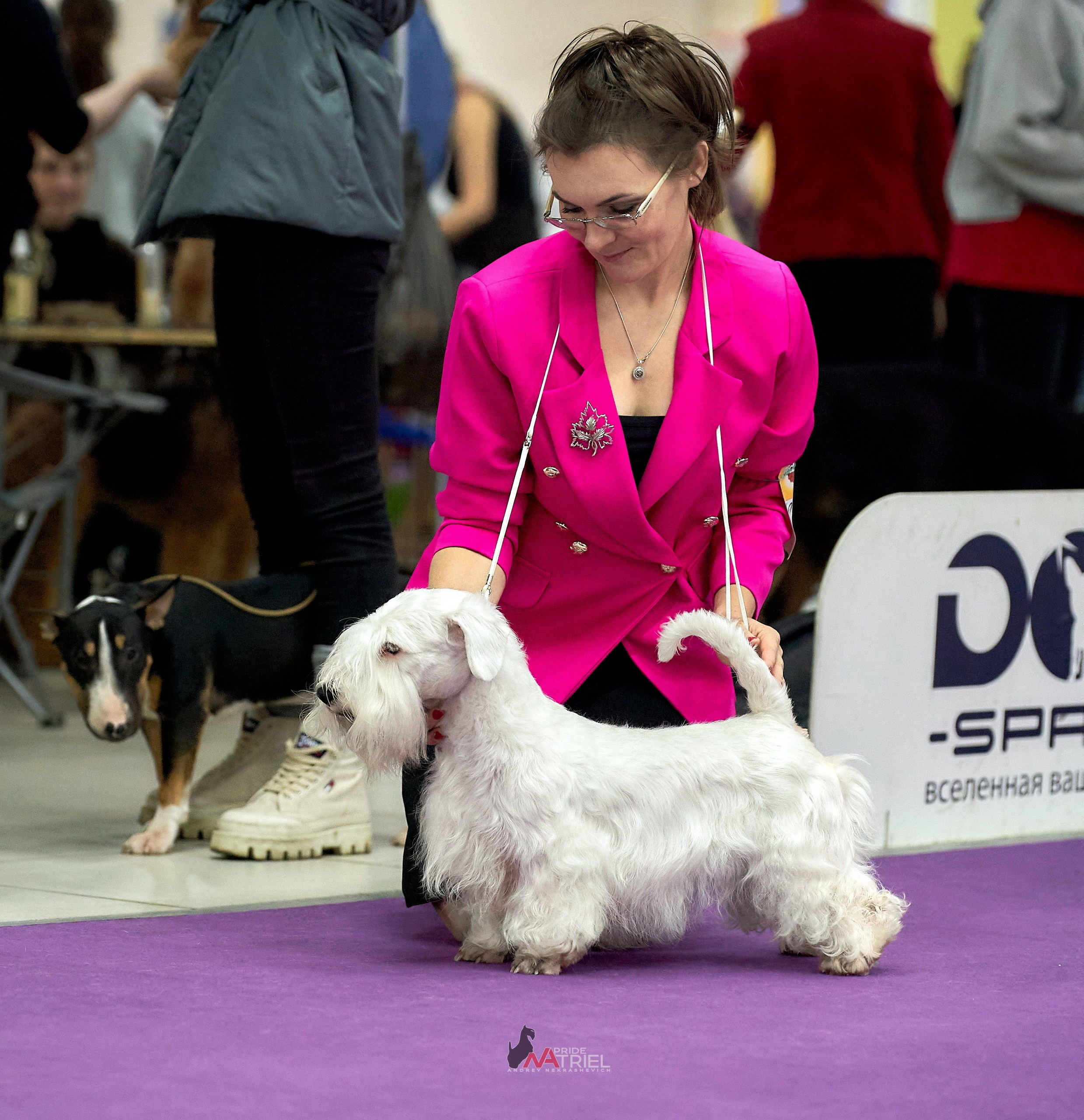 Работа в рингах — галерея NATRIEL