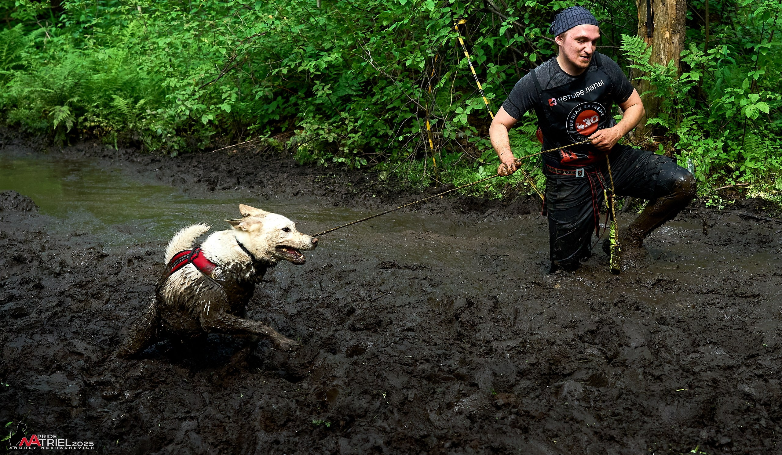 Russian Extreme Dog Trail — 2025