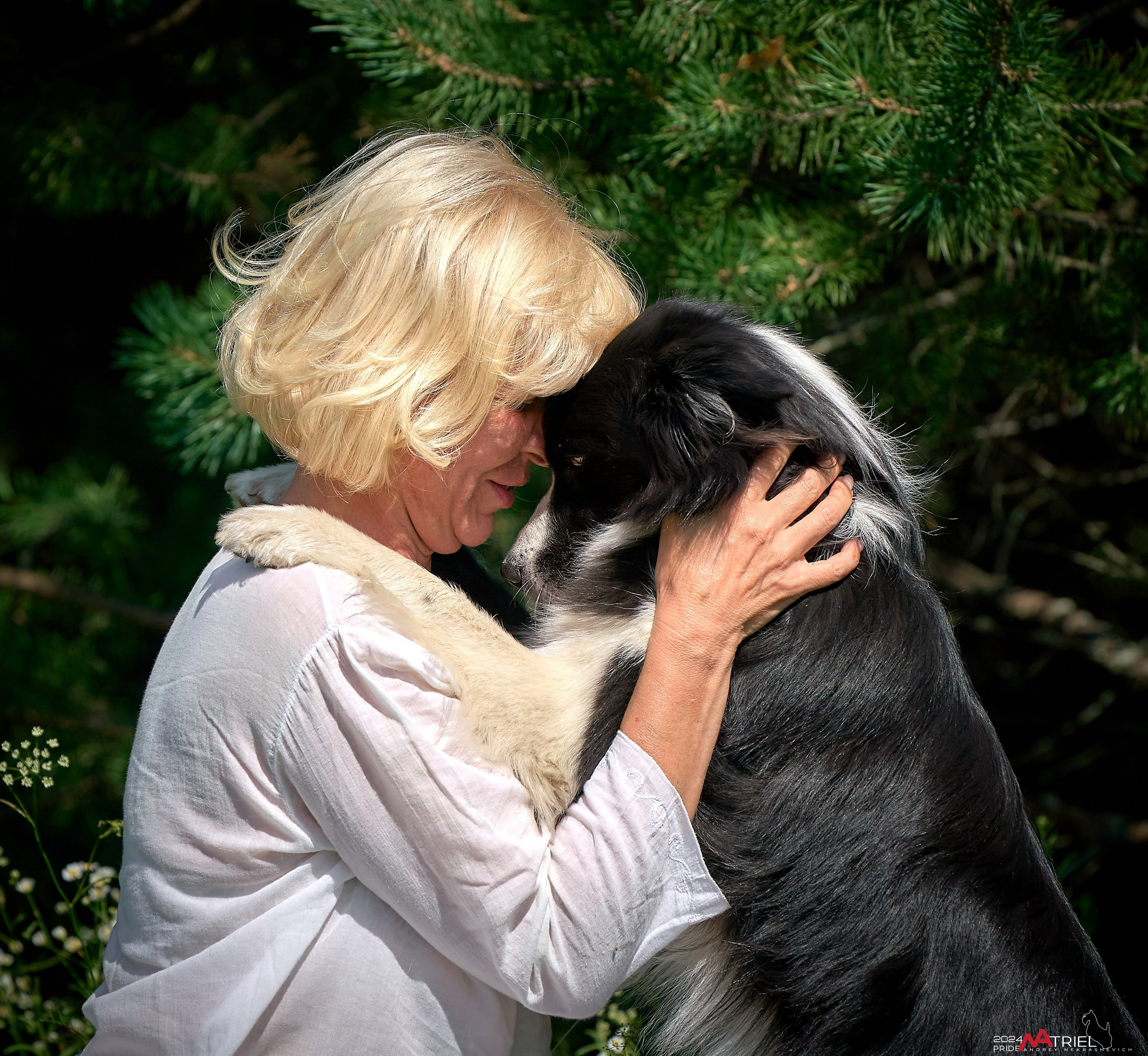 Репортаж из кинологического лагеря