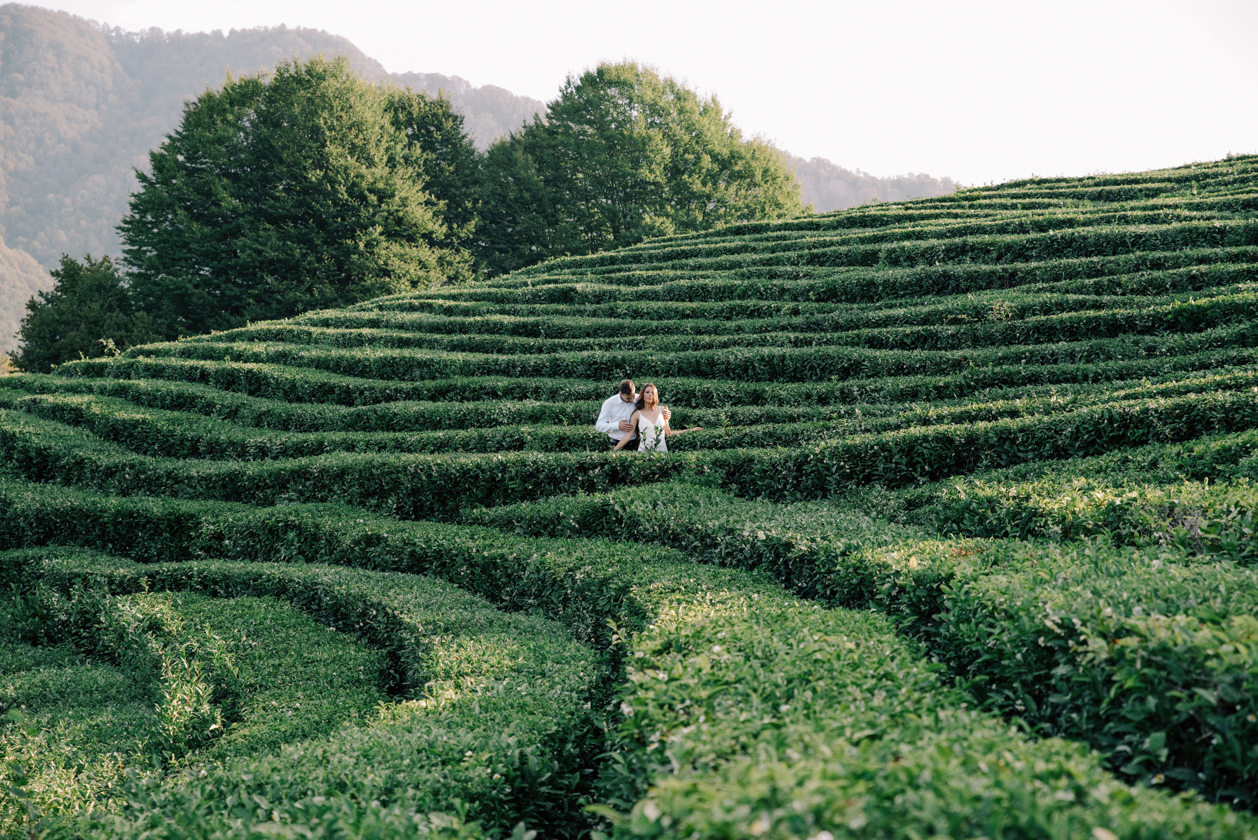 Однажды в Сочи. Свадебный фотограф в Калуге Алексей Климов