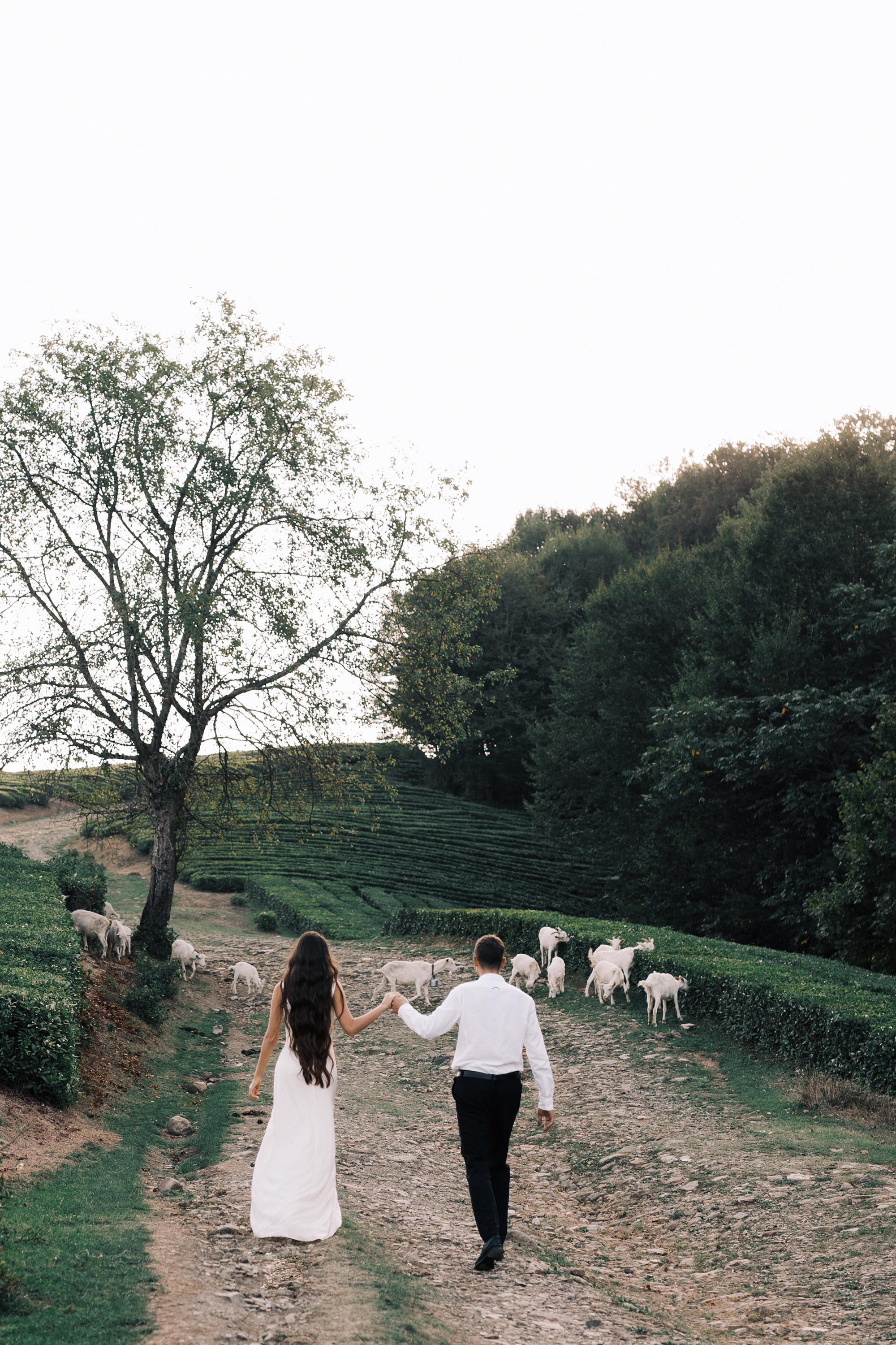 Однажды в Сочи. Свадебный фотограф в Калуге Алексей Климов