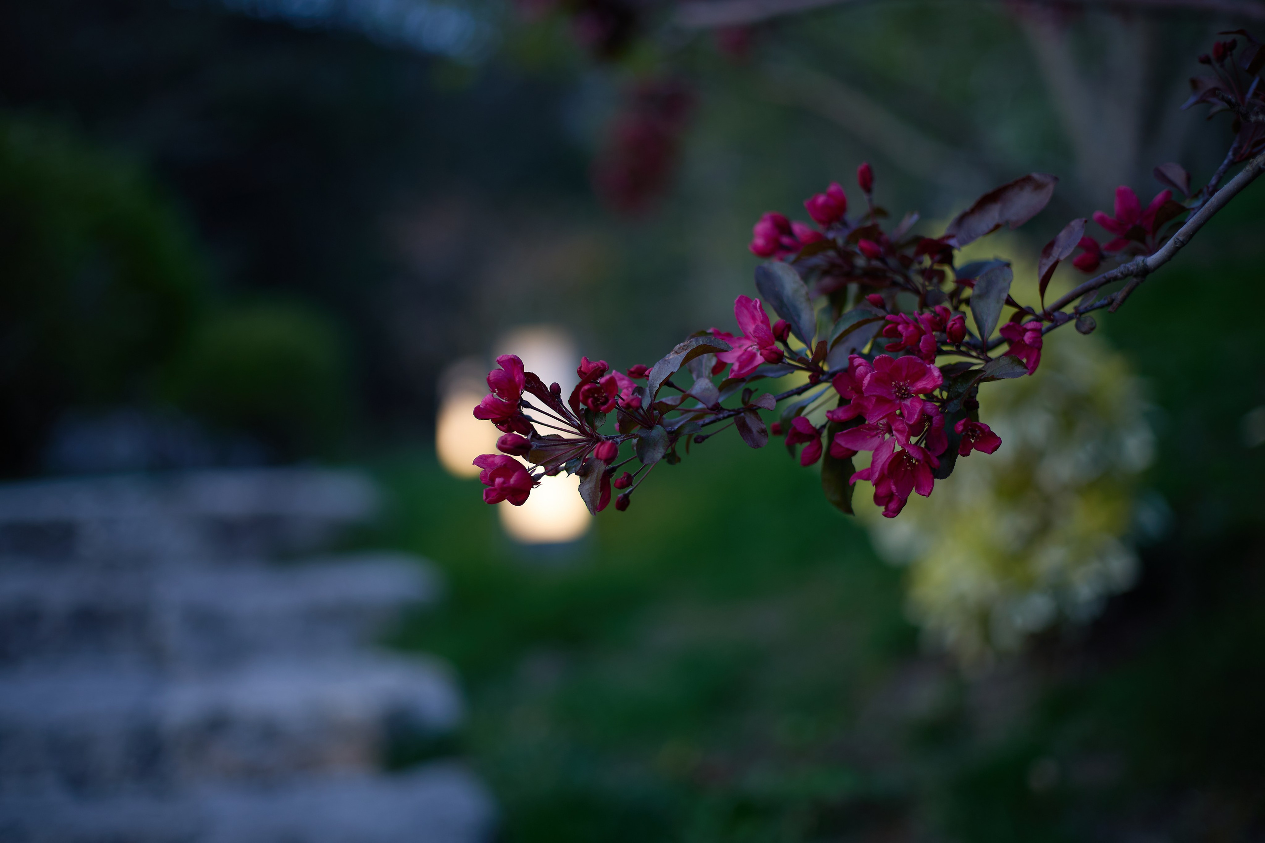 КРЫМ. Репортажный и мужской фотограф в Краснодаре. Фотограф в Краснодаре