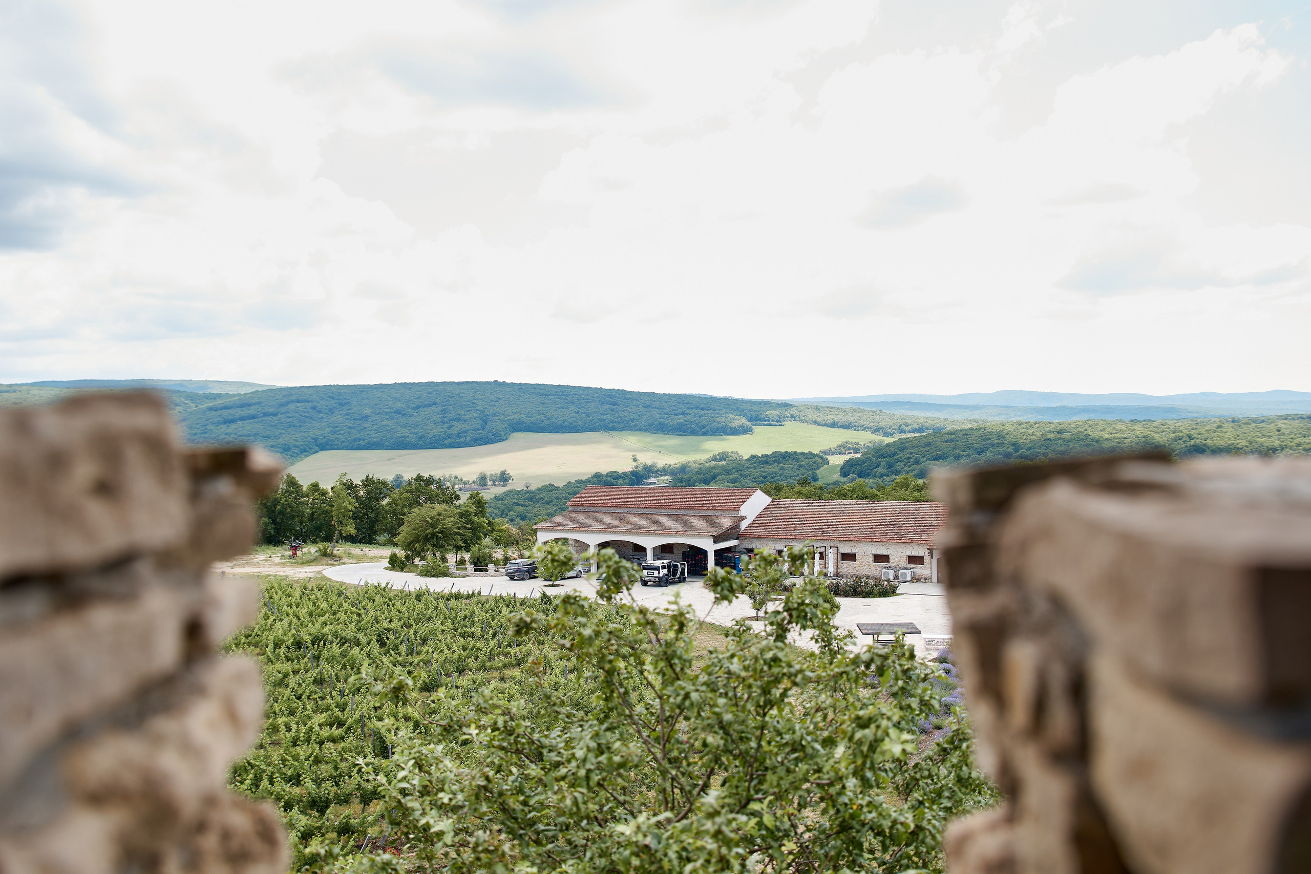 ОДНА ВИНОДЕЛЬНЯ. Репортажный и мужской фотограф в Краснодаре. Фотограф в Краснодаре
