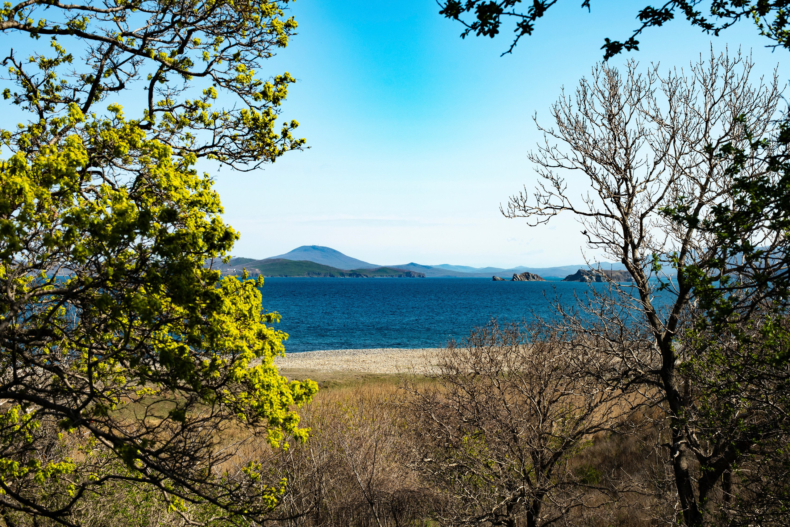 Природа Приморского края. Команда фотографов Кристины Ивановой