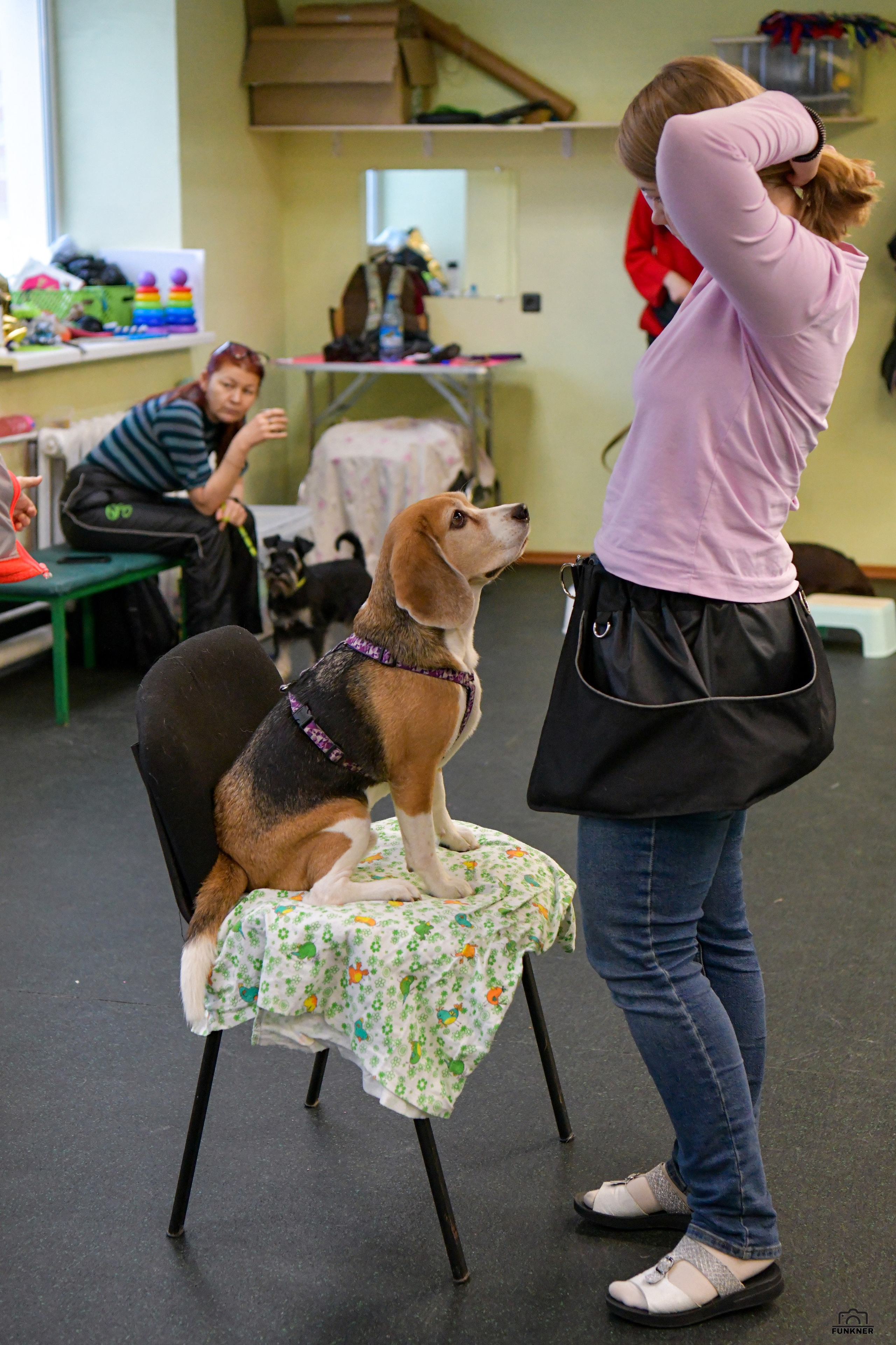Кинологический клуб «Бодрый хвост». Свой взгляд через объектив