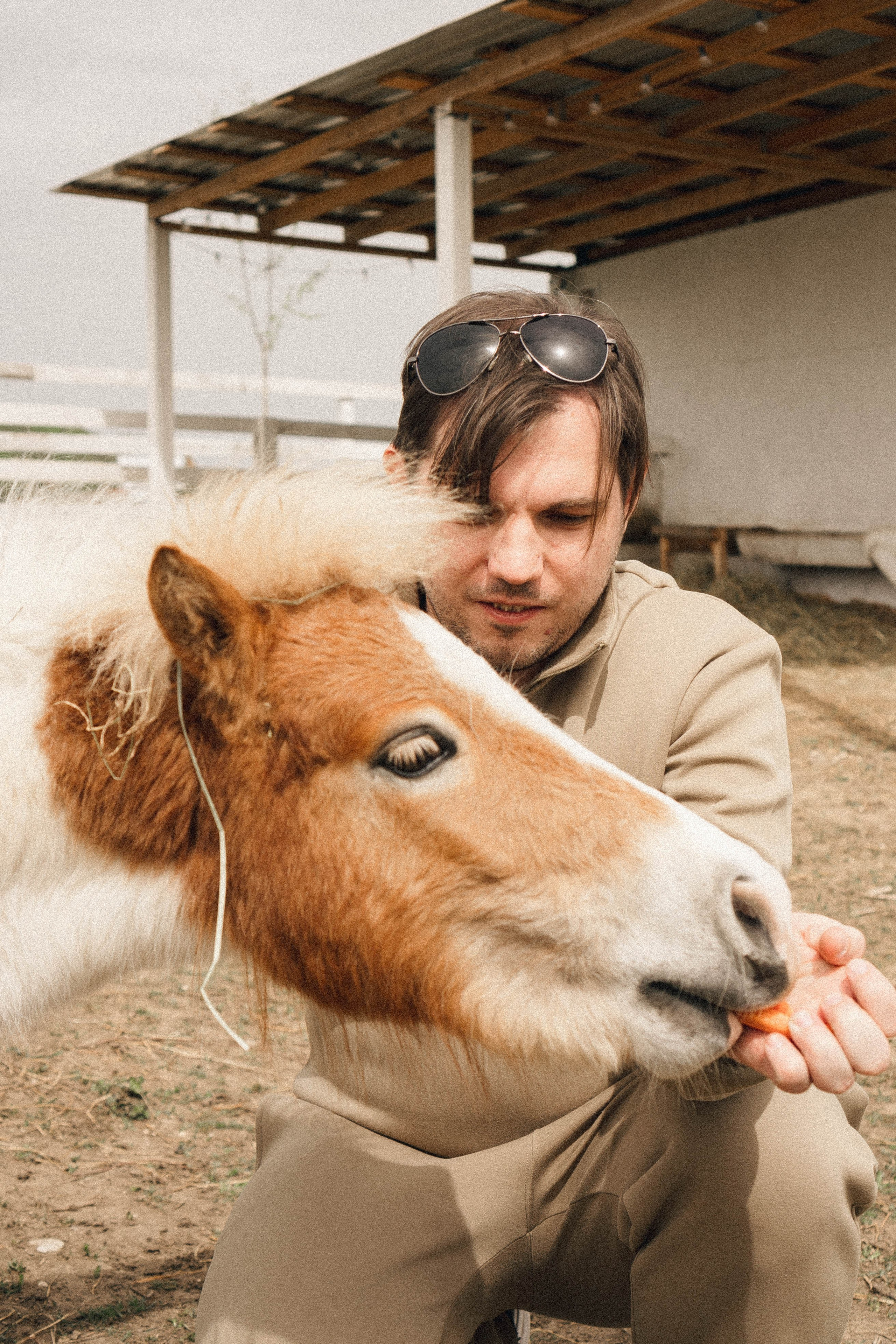 Ферма Альпак. Профессиональный фотограф, Санкт-Петербург — Виктория Богомолова