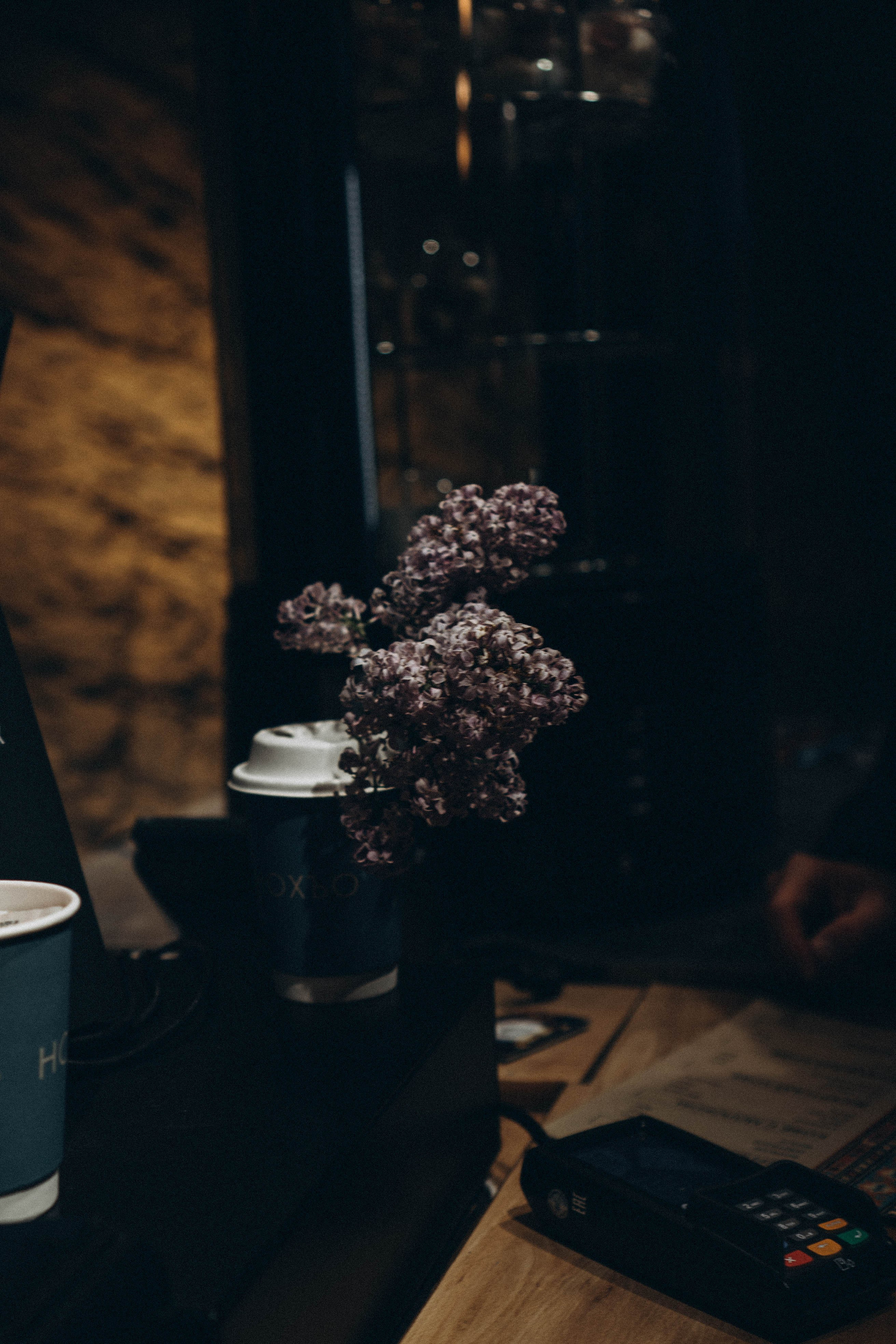 Кавказ. Профессиональный фотограф, Санкт-Петербург — Виктория Богомолова