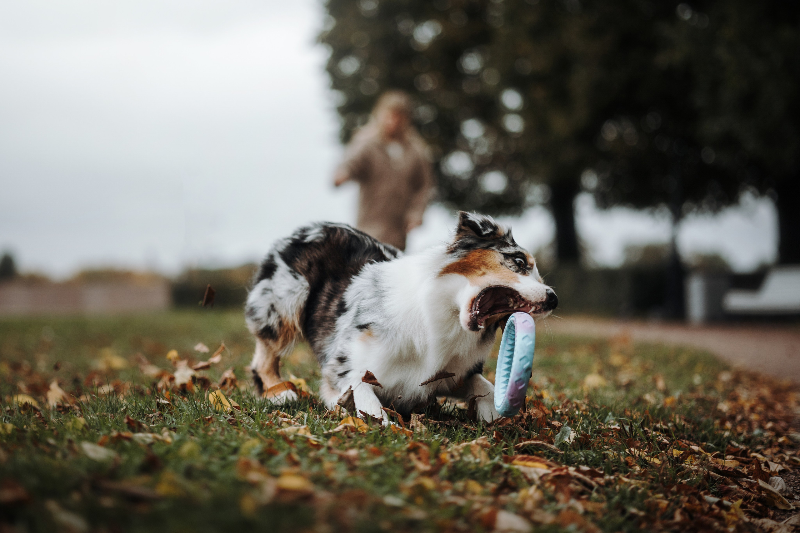 Ирина и Кайса. Фотограф — Анималист | Санкт-Петербург